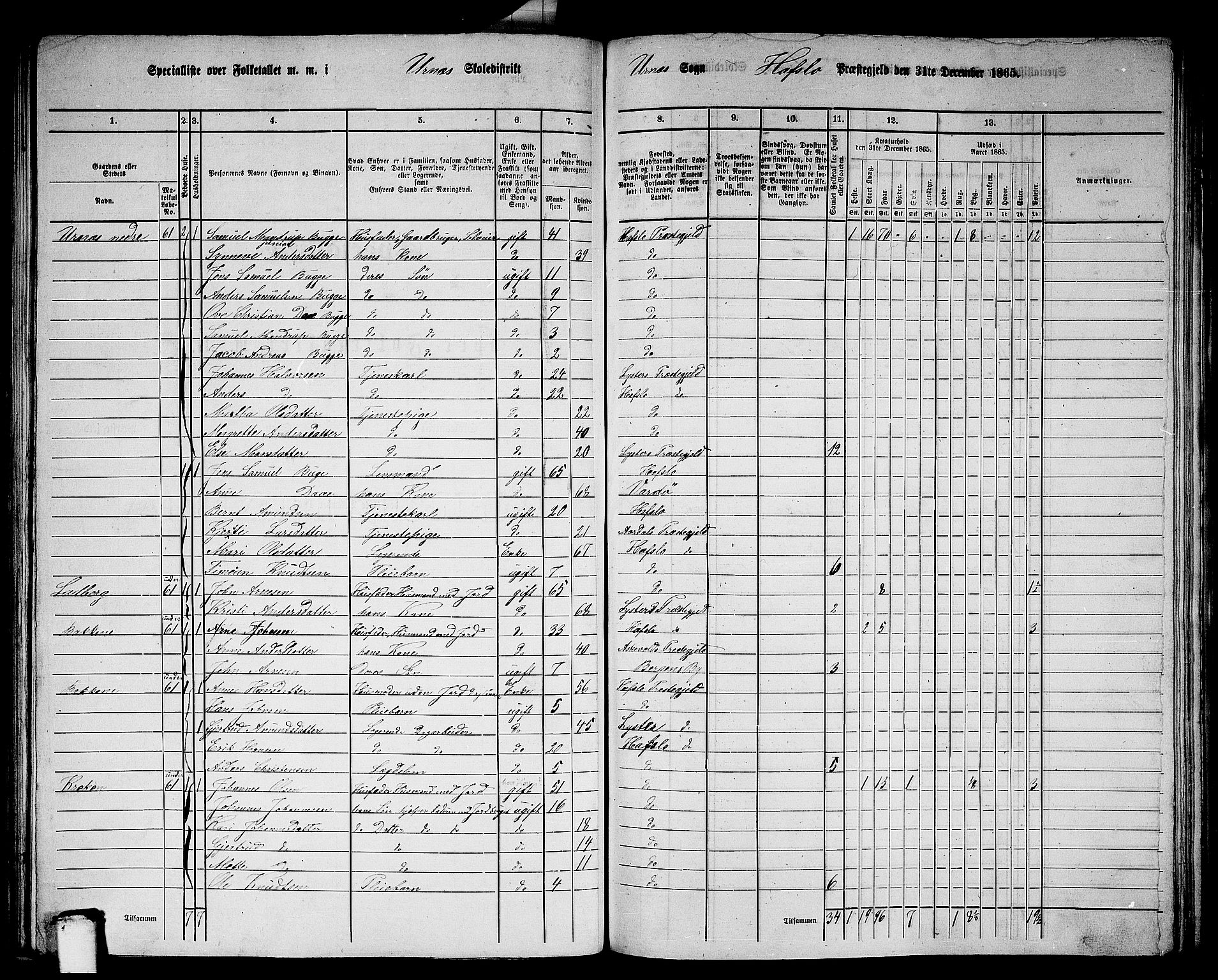 RA, 1865 census for Hafslo, 1865, p. 82