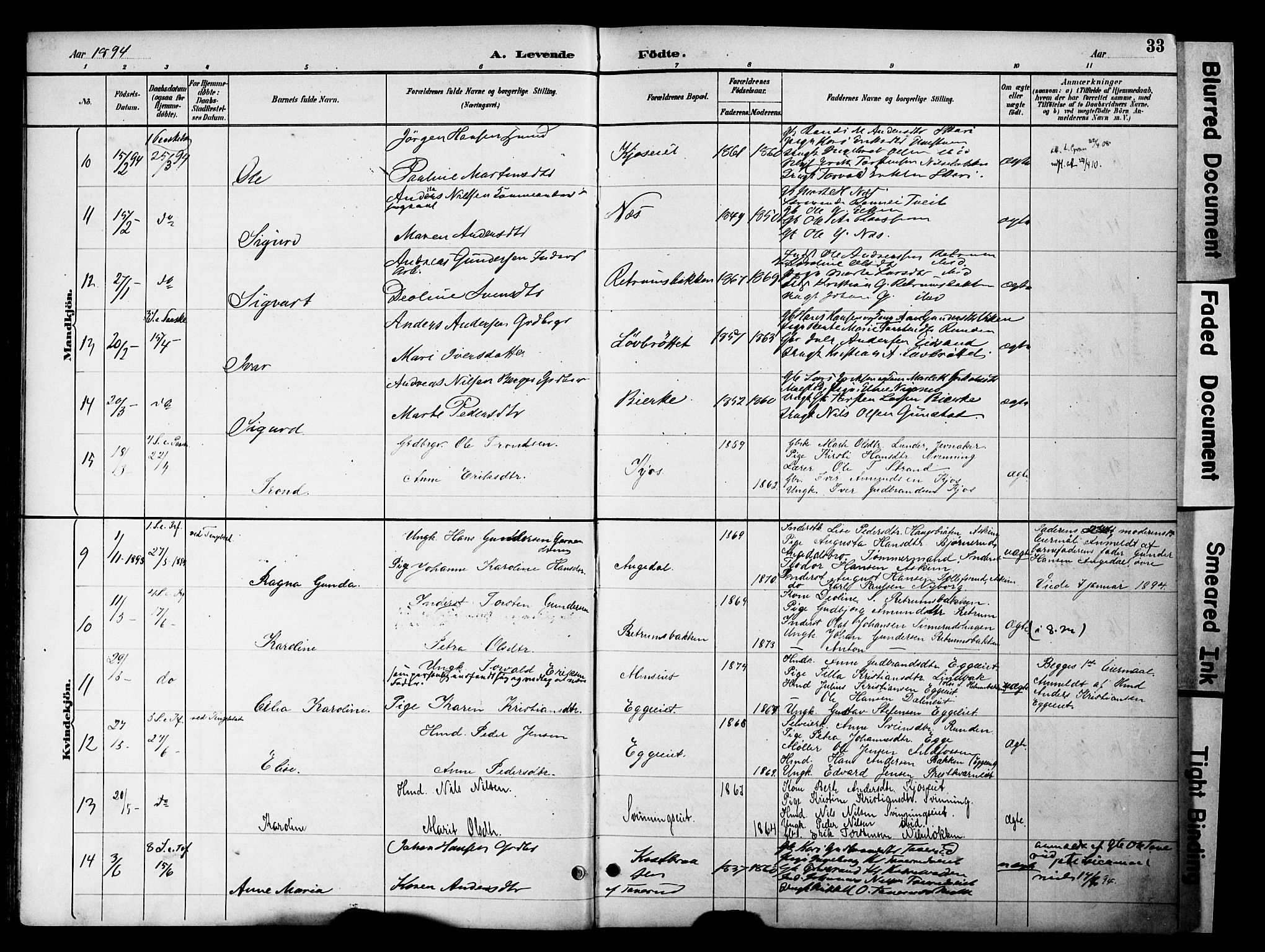 Gran prestekontor, SAH/PREST-112/H/Ha/Haa/L0020: Parish register (official) no. 20, 1889-1899, p. 33