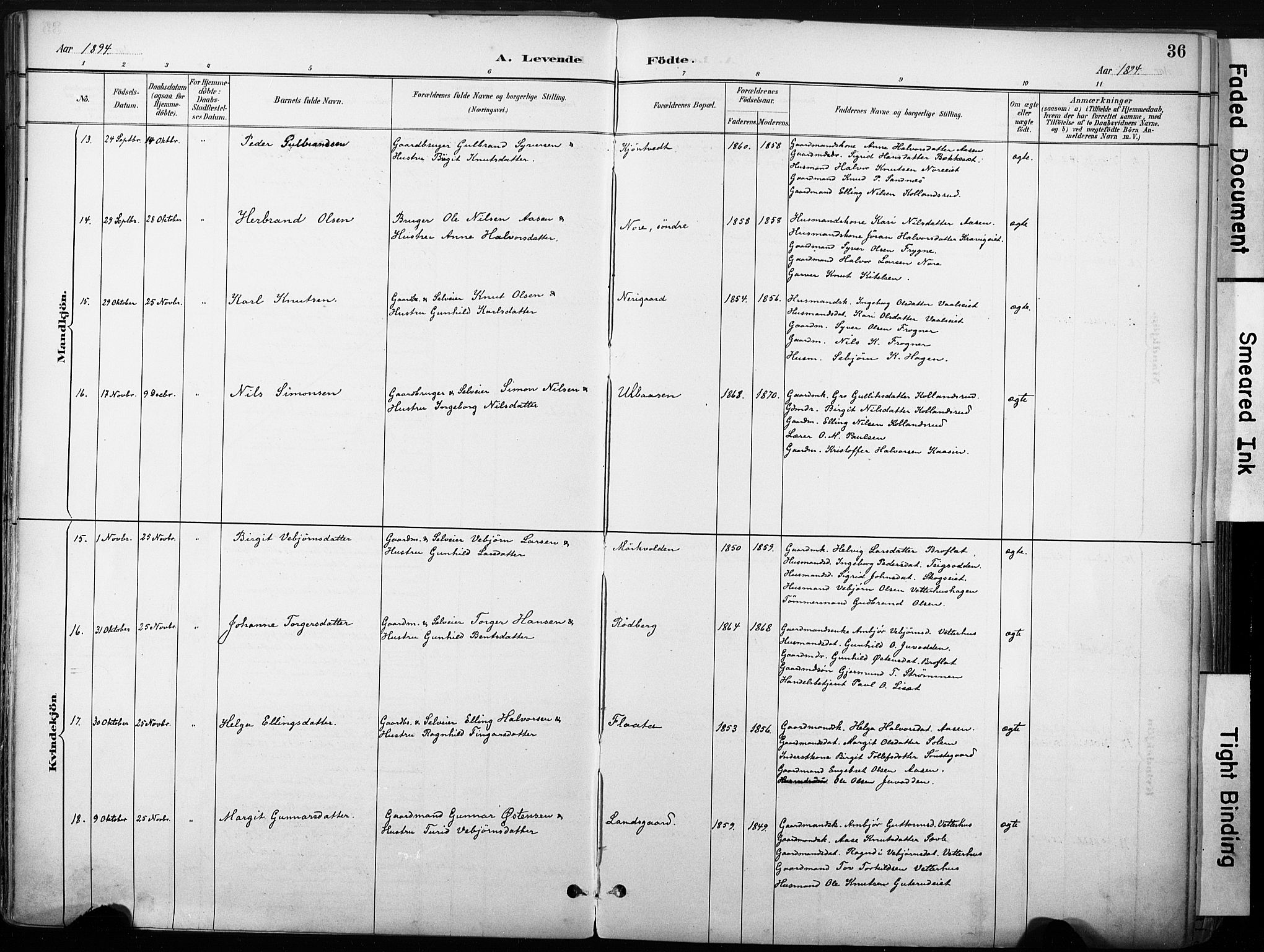 Nore kirkebøker, AV/SAKO-A-238/F/Fb/L0002: Parish register (official) no. II 2, 1886-1906, p. 36