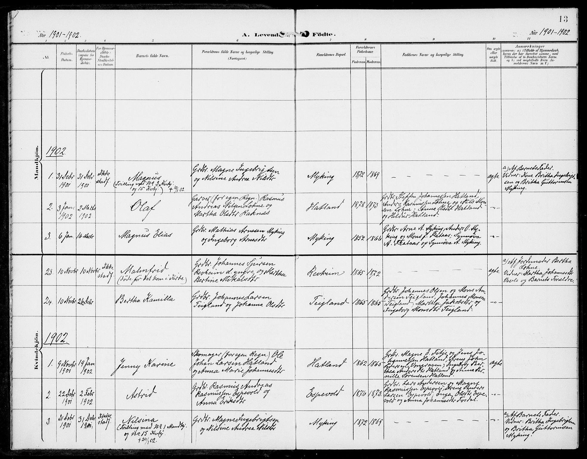 Haus sokneprestembete, AV/SAB-A-75601/H/Haa: Parish register (official) no. C  2, 1900-1915, p. 13