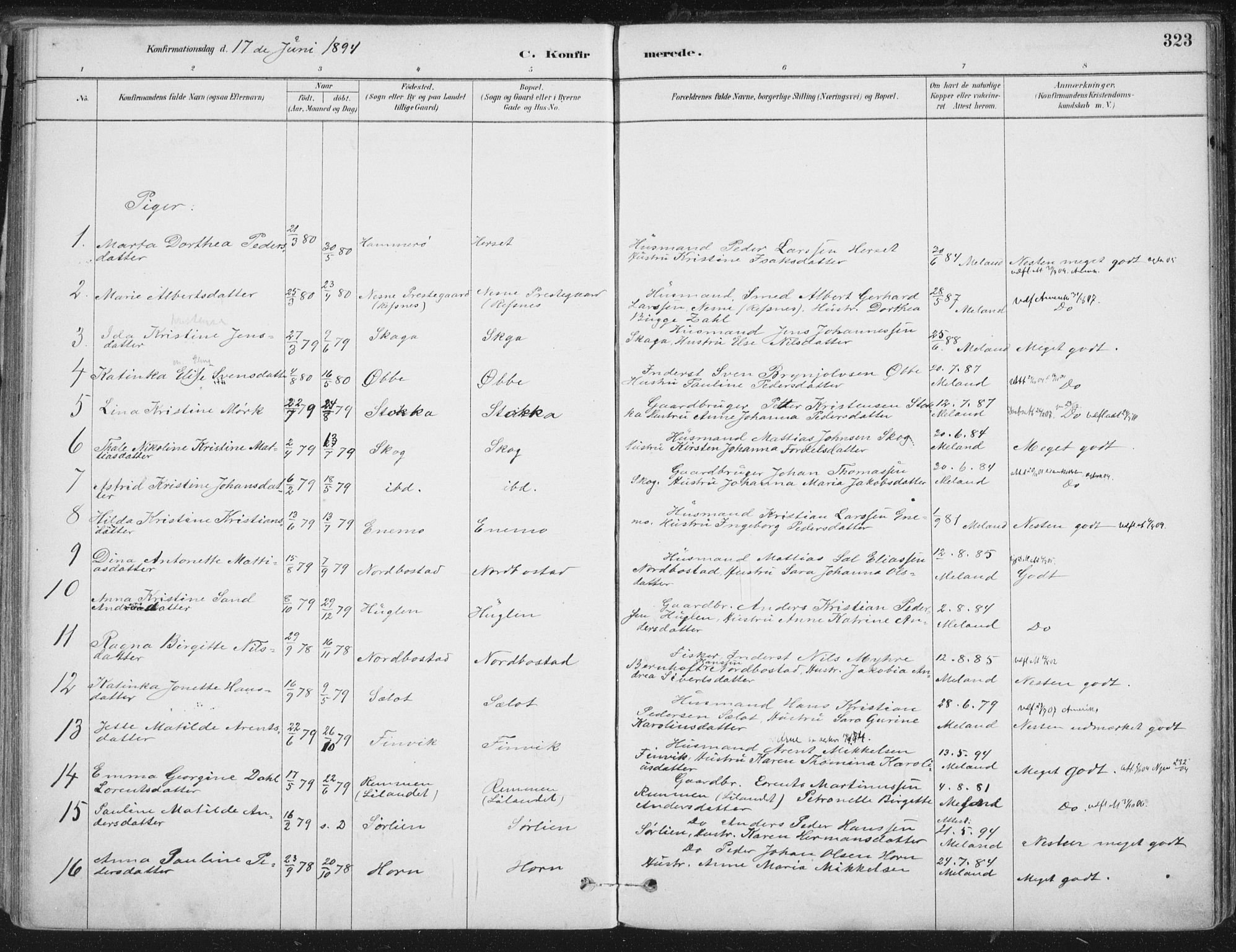 Ministerialprotokoller, klokkerbøker og fødselsregistre - Nordland, AV/SAT-A-1459/838/L0552: Parish register (official) no. 838A10, 1880-1910, p. 323