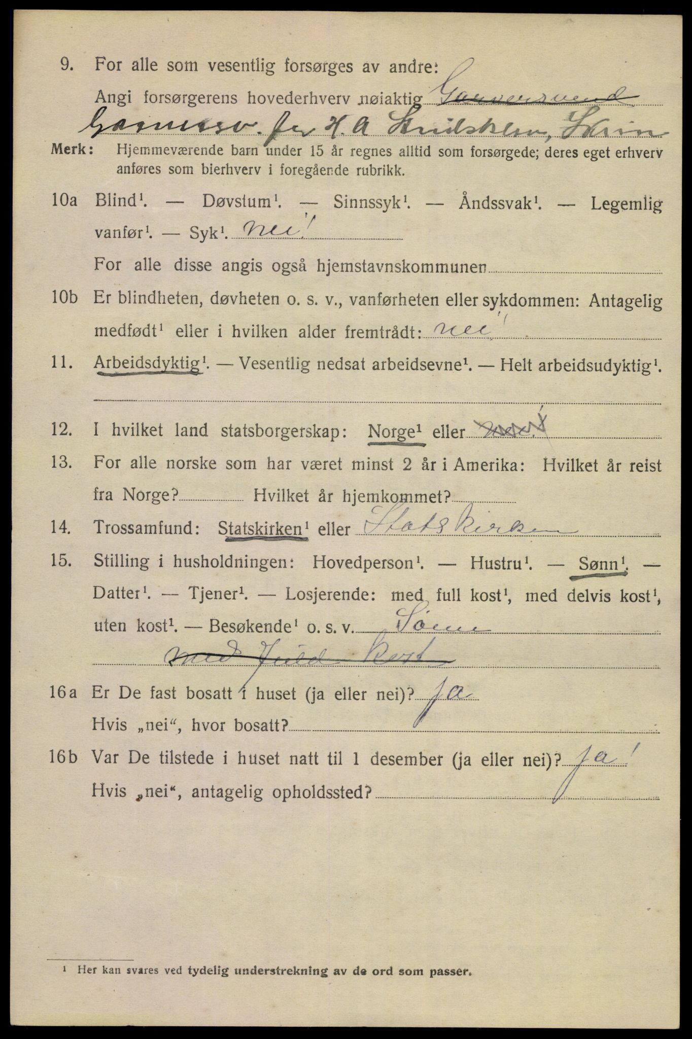 SAKO, 1920 census for Porsgrunn, 1920, p. 7132