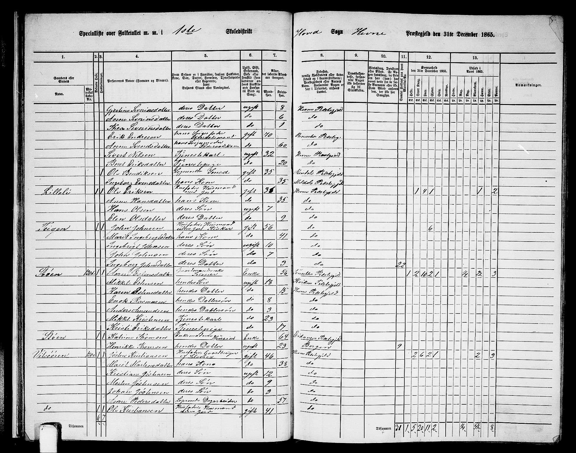 RA, 1865 census for Hemne, 1865, p. 28