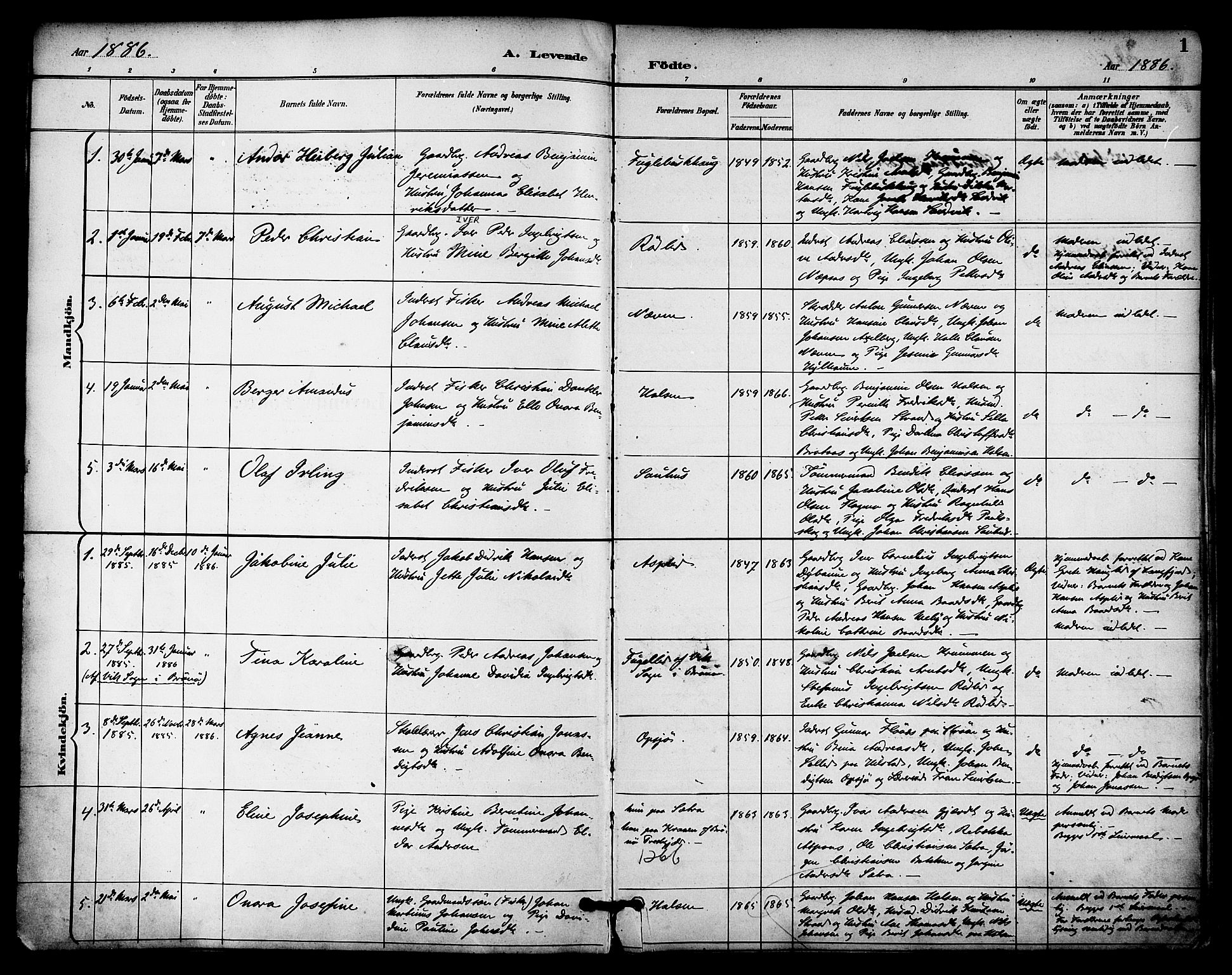 Ministerialprotokoller, klokkerbøker og fødselsregistre - Nordland, AV/SAT-A-1459/814/L0226: Parish register (official) no. 814A07, 1886-1898, p. 1