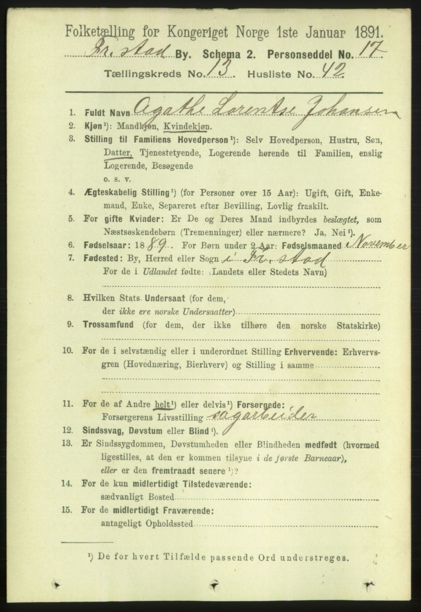 RA, 1891 census for 0103 Fredrikstad, 1891, p. 15006