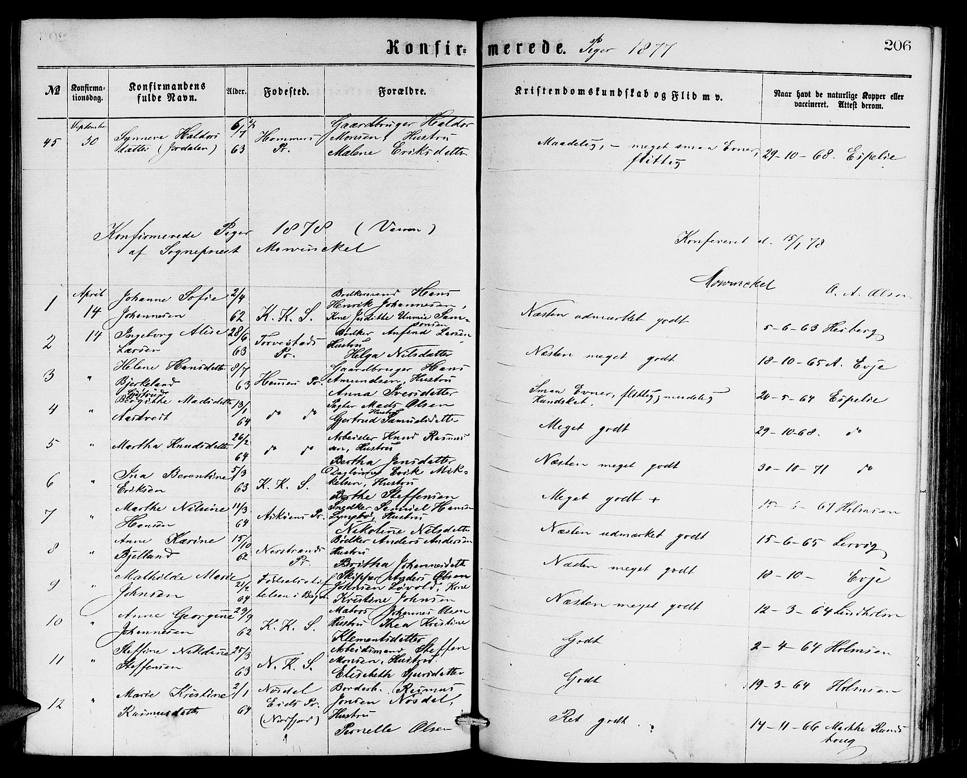 Sandviken Sokneprestembete, SAB/A-77601/H/Hb: Parish register (copy) no. A 1, 1867-1879, p. 206