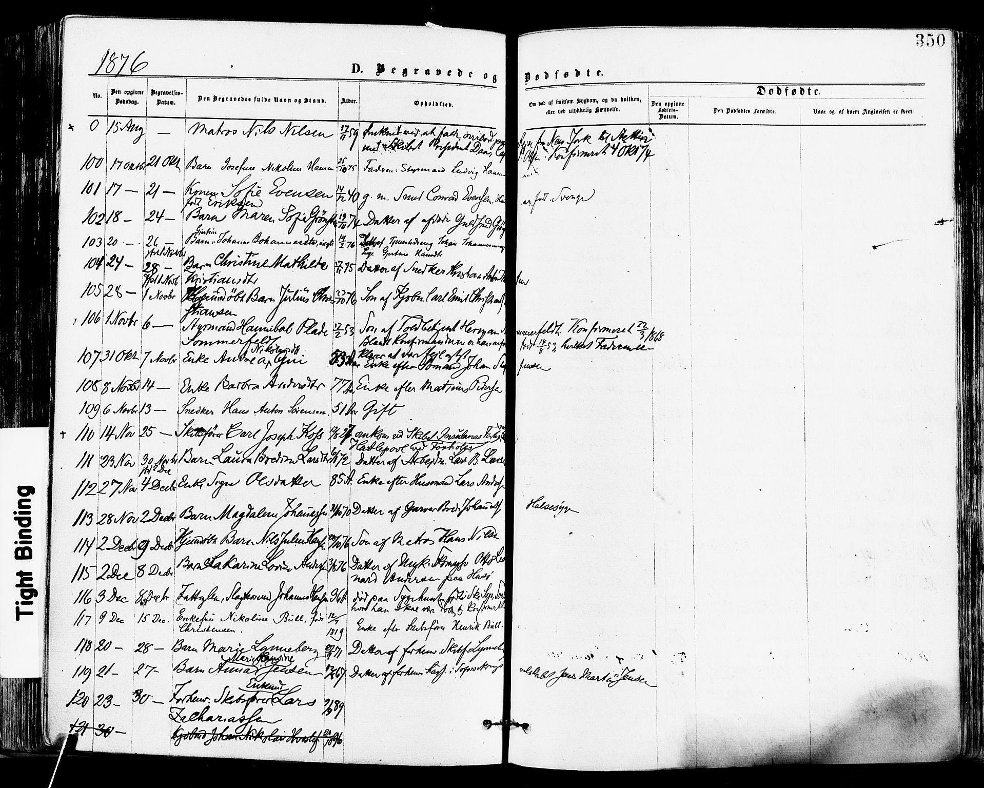 Tønsberg kirkebøker, AV/SAKO-A-330/F/Fa/L0010: Parish register (official) no. I 10, 1874-1880, p. 350