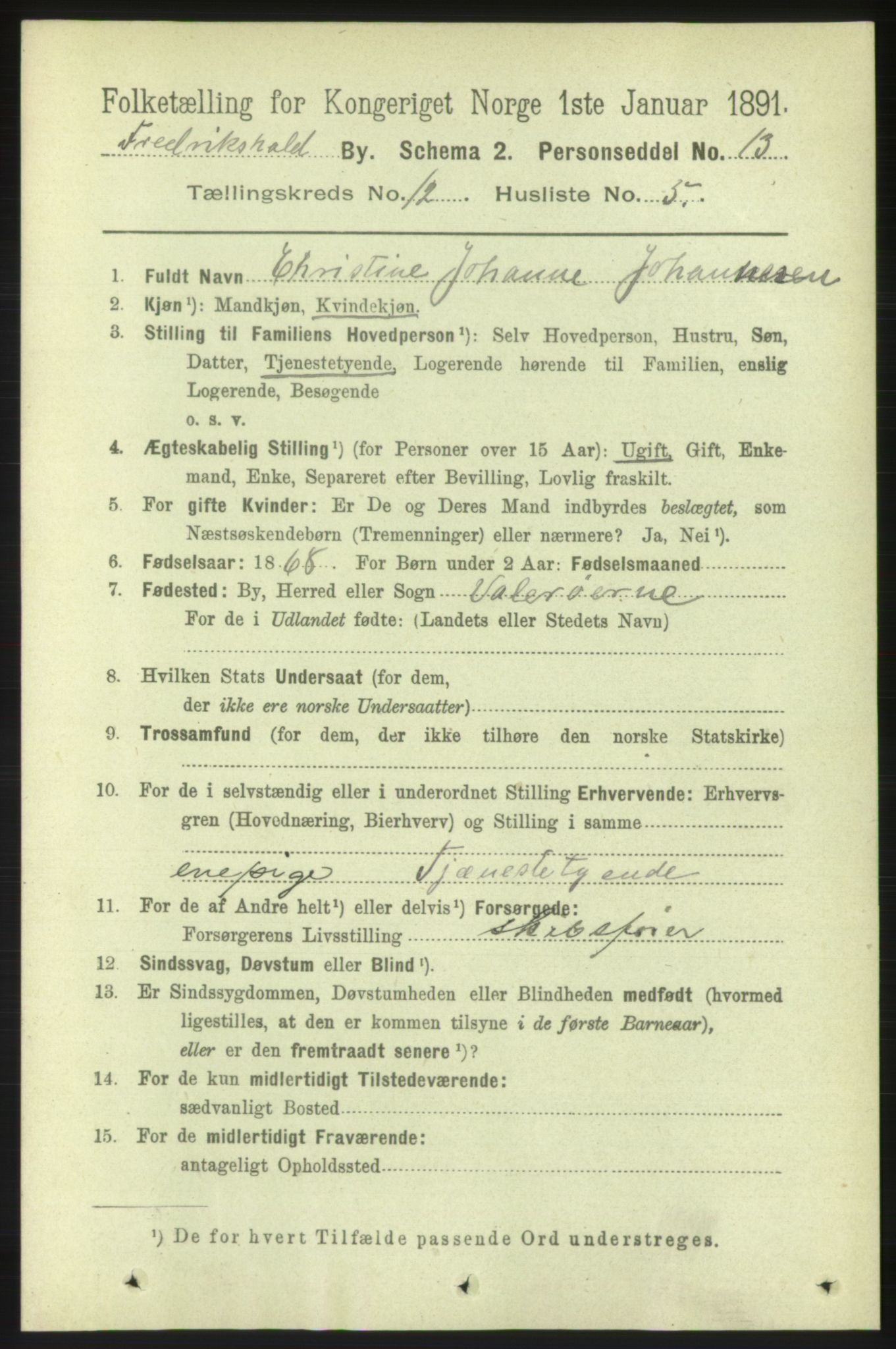 RA, 1891 census for 0101 Fredrikshald, 1891, p. 8378