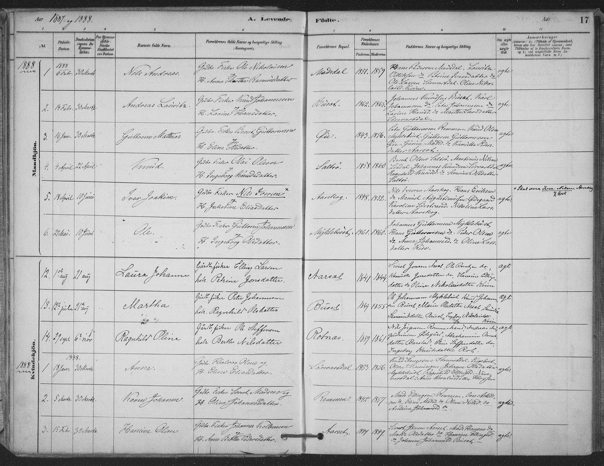 Ministerialprotokoller, klokkerbøker og fødselsregistre - Møre og Romsdal, AV/SAT-A-1454/514/L0199: Parish register (official) no. 514A01, 1878-1912, p. 17