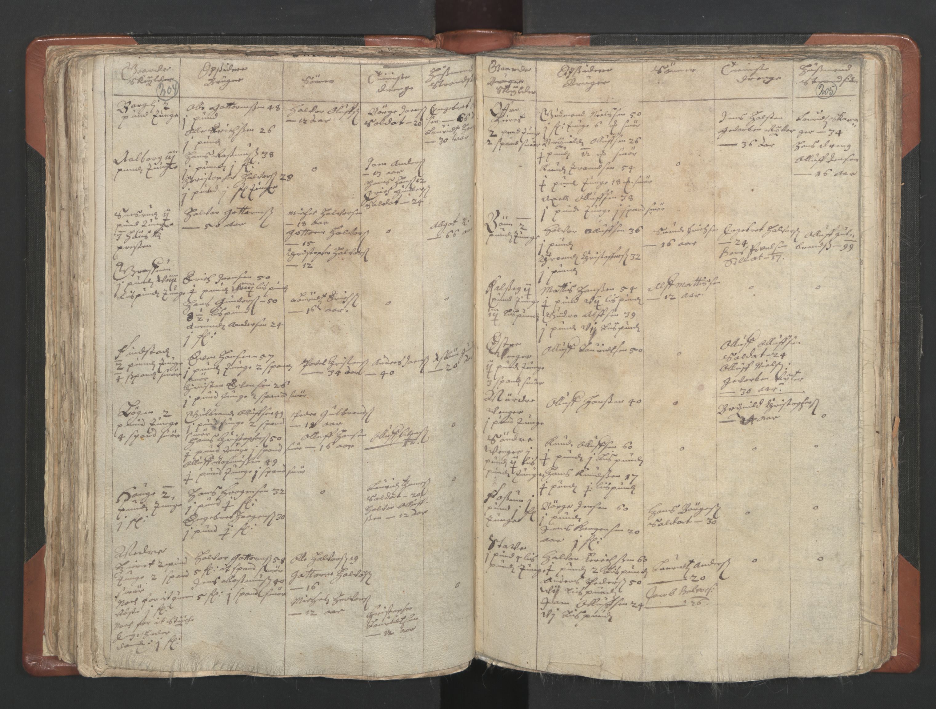 RA, Vicar's Census 1664-1666, no. 4: Øvre Romerike deanery, 1664-1666, p. 204-205