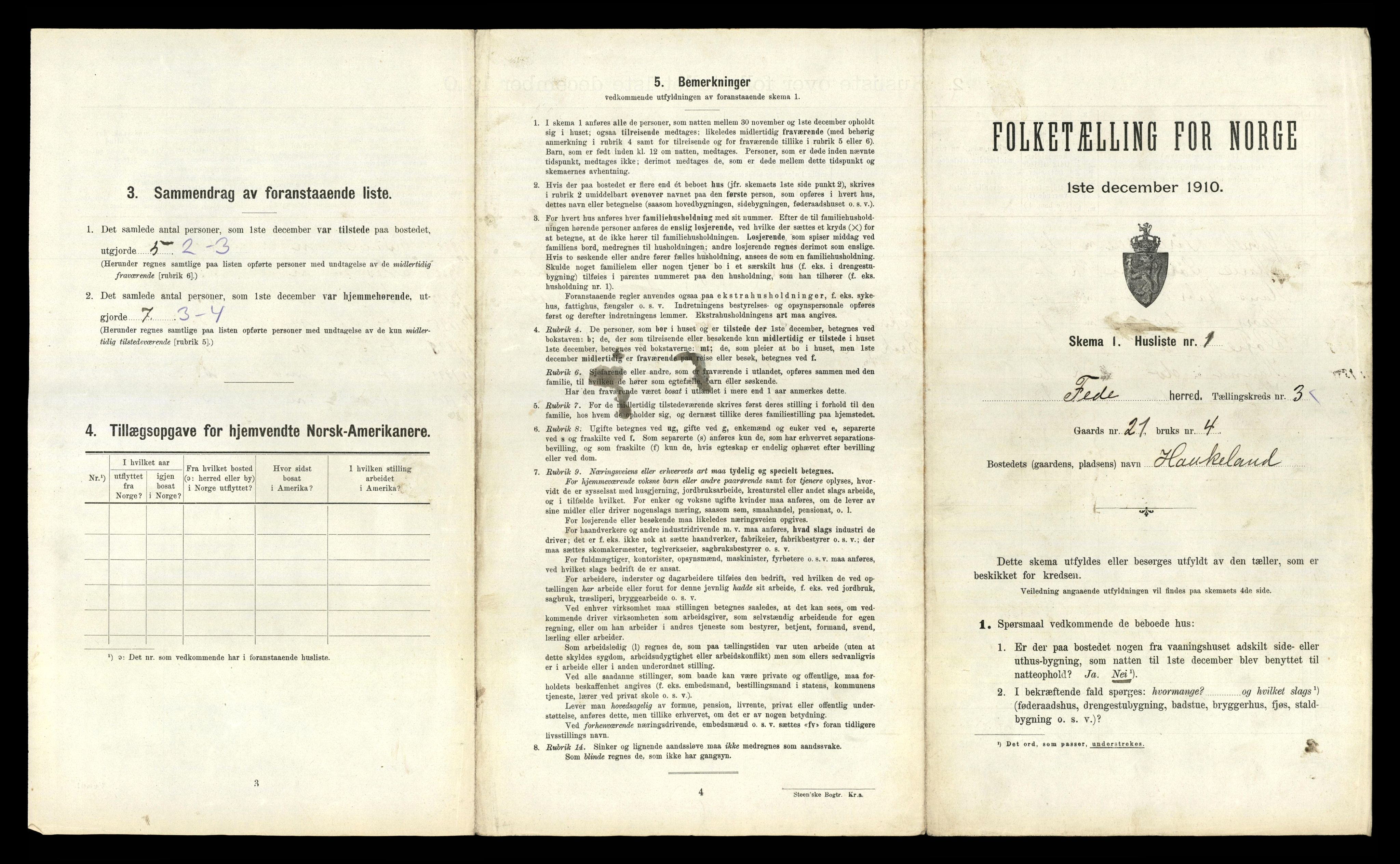 RA, 1910 census for Feda, 1910, p. 323