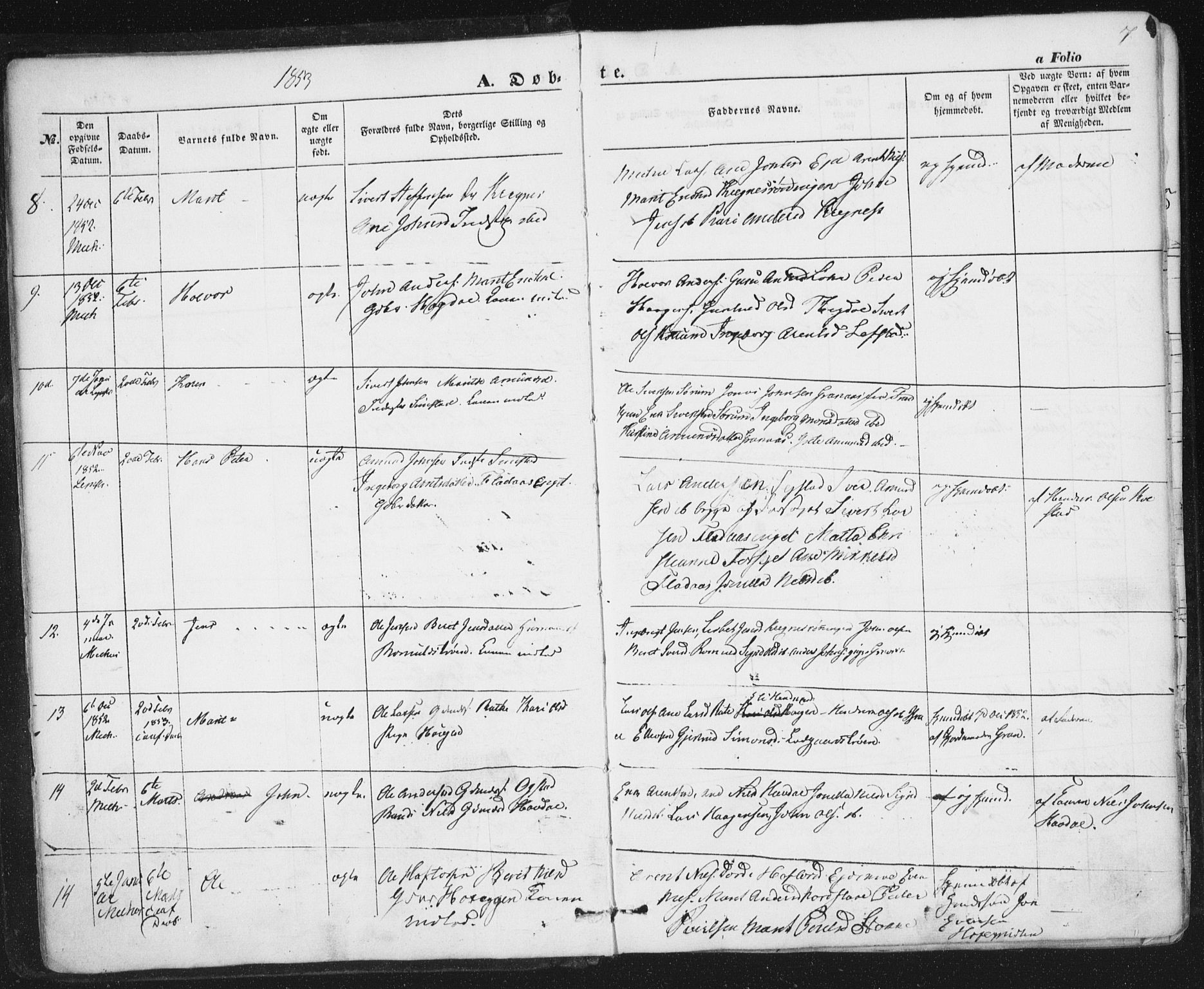 Ministerialprotokoller, klokkerbøker og fødselsregistre - Sør-Trøndelag, AV/SAT-A-1456/691/L1076: Parish register (official) no. 691A08, 1852-1861, p. 7