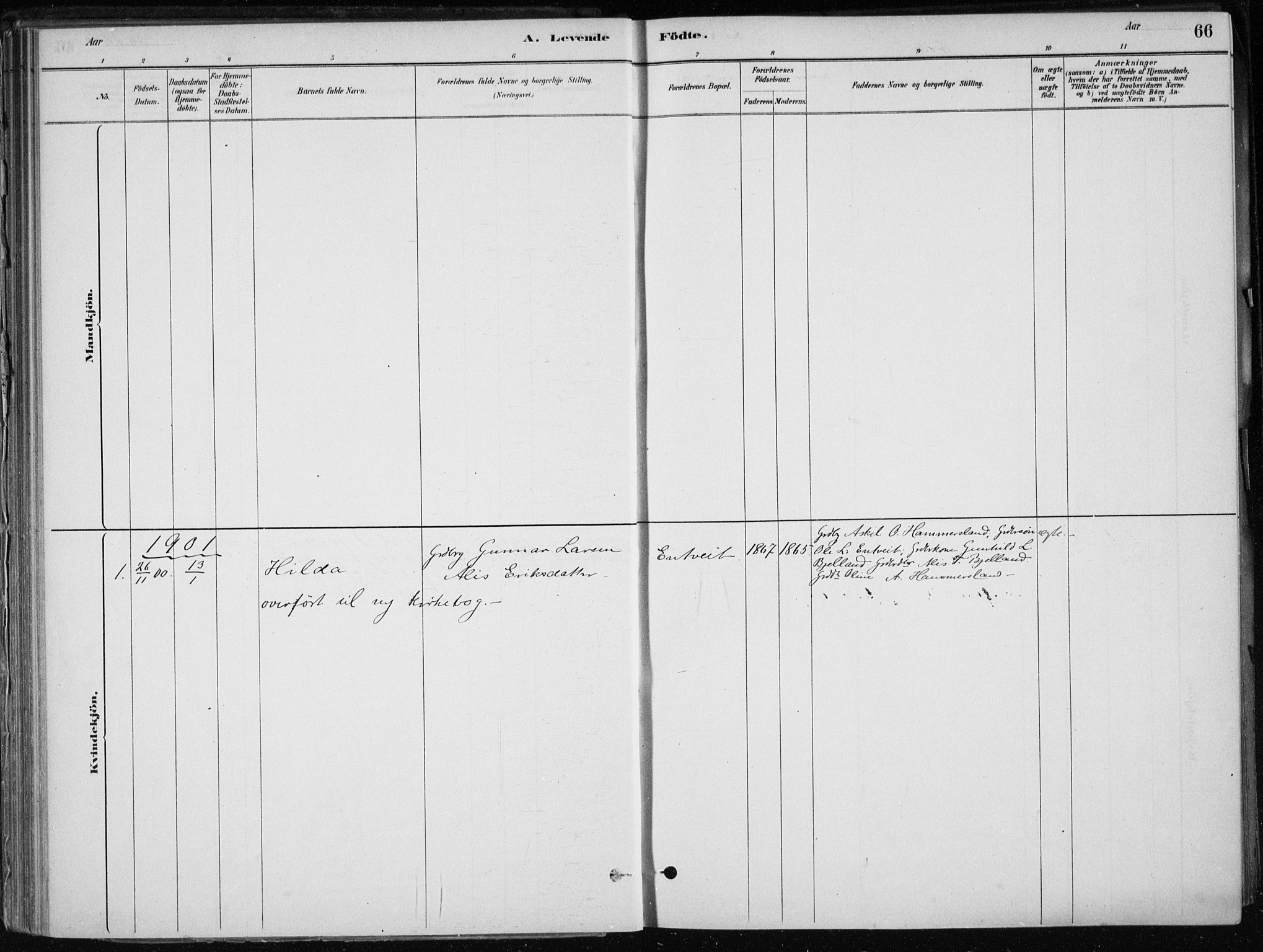 Skånevik sokneprestembete, SAB/A-77801/H/Haa: Parish register (official) no. E  1, 1879-1901, p. 66