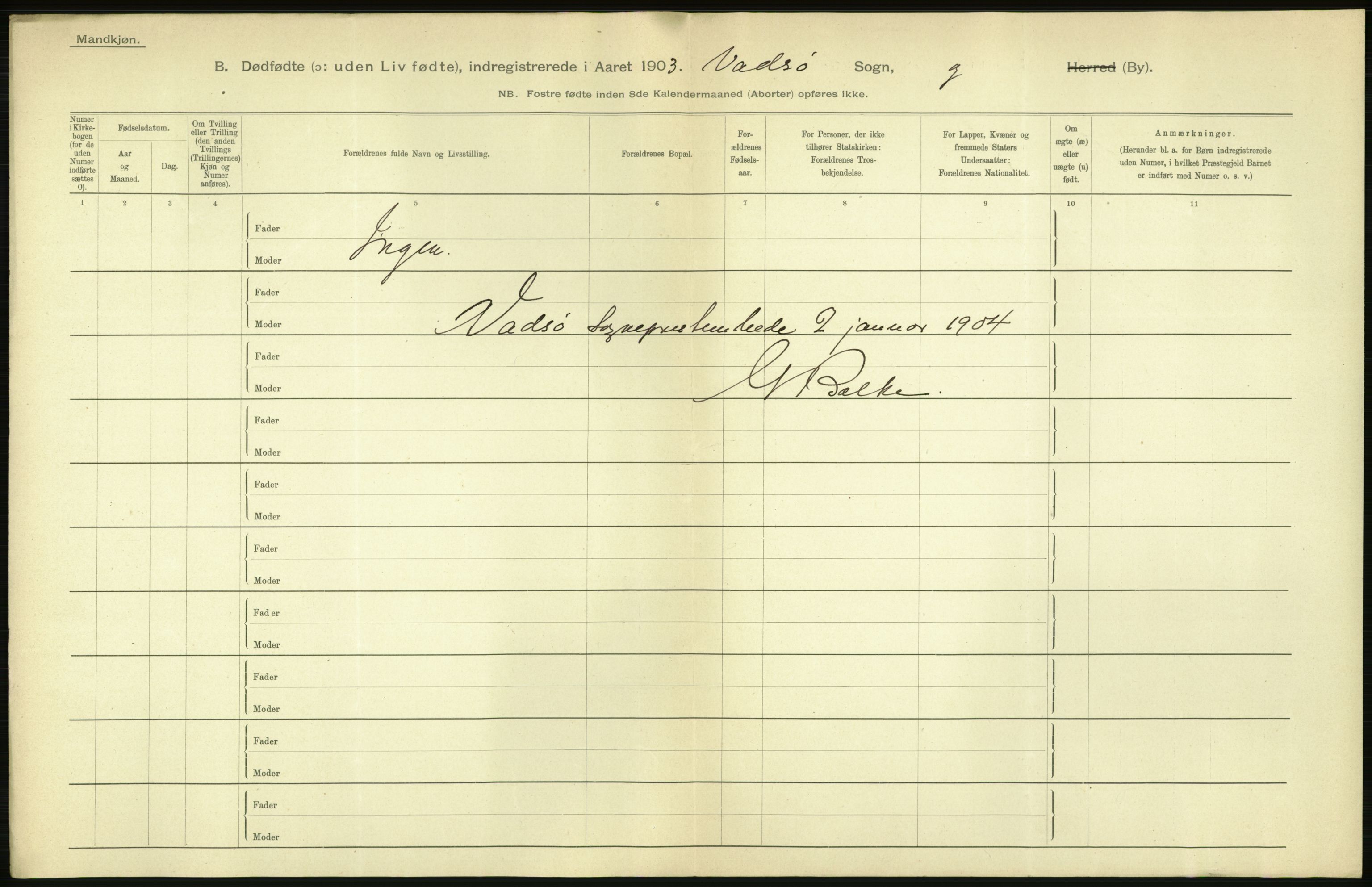 Statistisk sentralbyrå, Sosiodemografiske emner, Befolkning, AV/RA-S-2228/D/Df/Dfa/Dfaa/L0026: Smålenenes - Finnmarkens amt: Dødfødte. Byer., 1903, p. 192