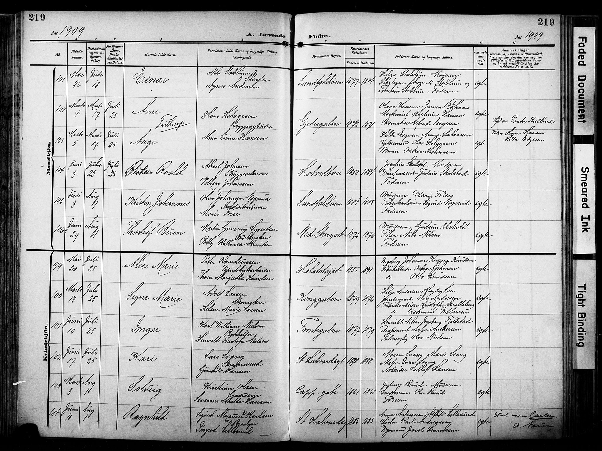 Bragernes kirkebøker, AV/SAKO-A-6/F/Fb/L0009: Parish register (official) no. II 9, 1902-1911, p. 219