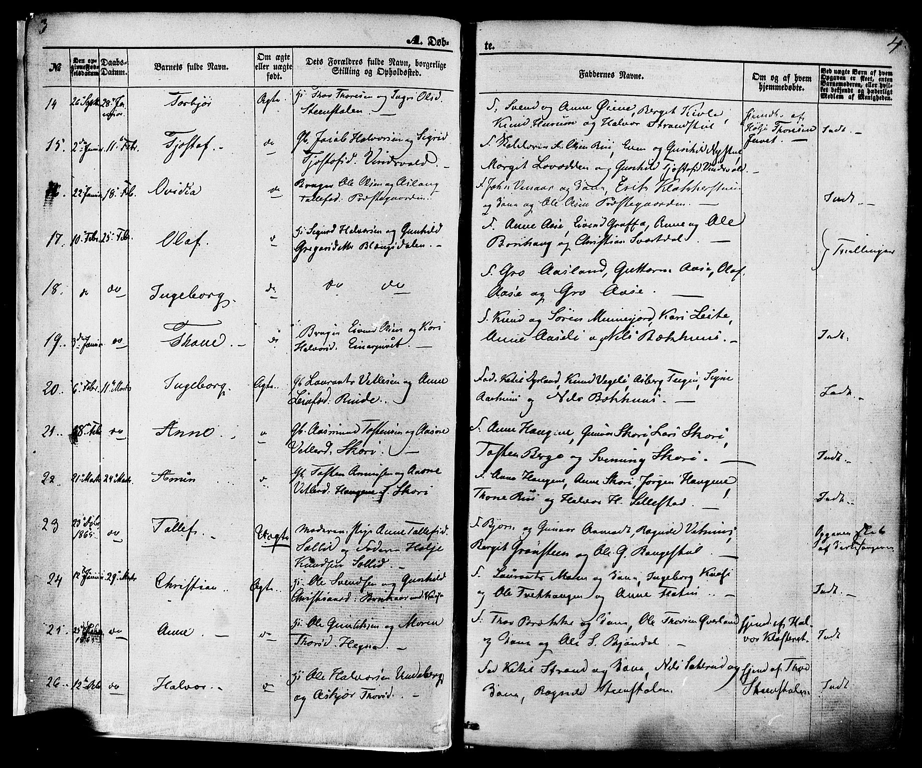 Seljord kirkebøker, SAKO/A-20/F/Fa/L0013: Parish register (official) no. I 13, 1866-1876, p. 3-4