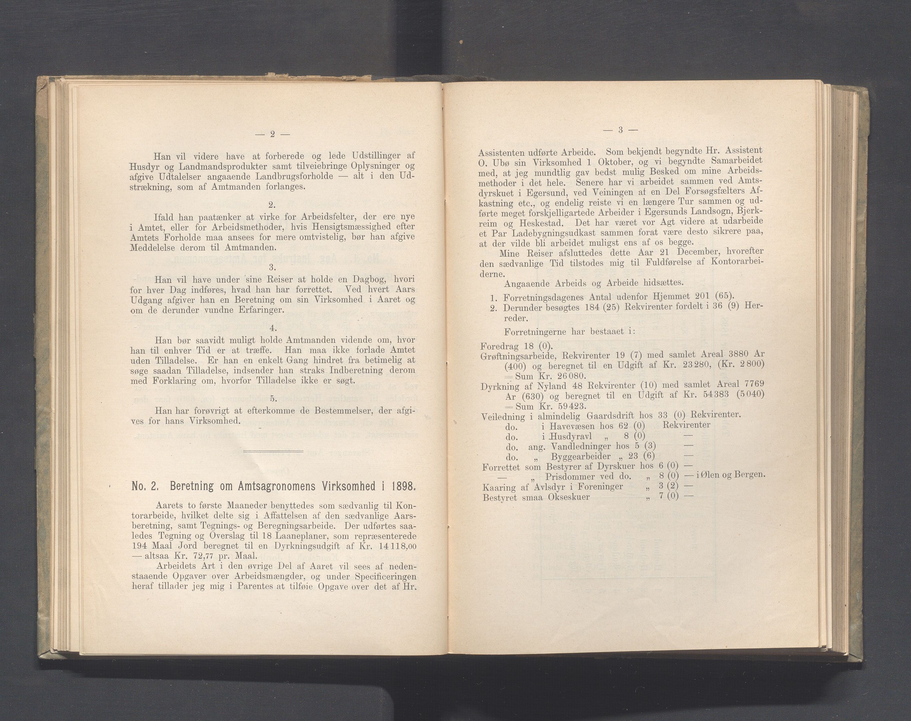 Rogaland fylkeskommune - Fylkesrådmannen , IKAR/A-900/A, 1899, p. 58