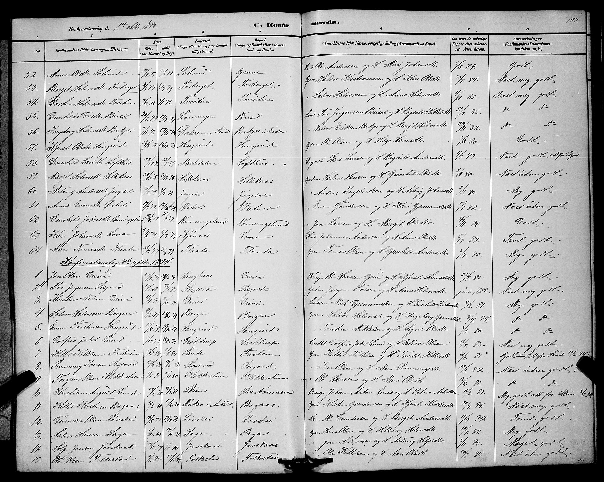 Bø kirkebøker, SAKO/A-257/G/Ga/L0005: Parish register (copy) no. 5, 1883-1897, p. 147