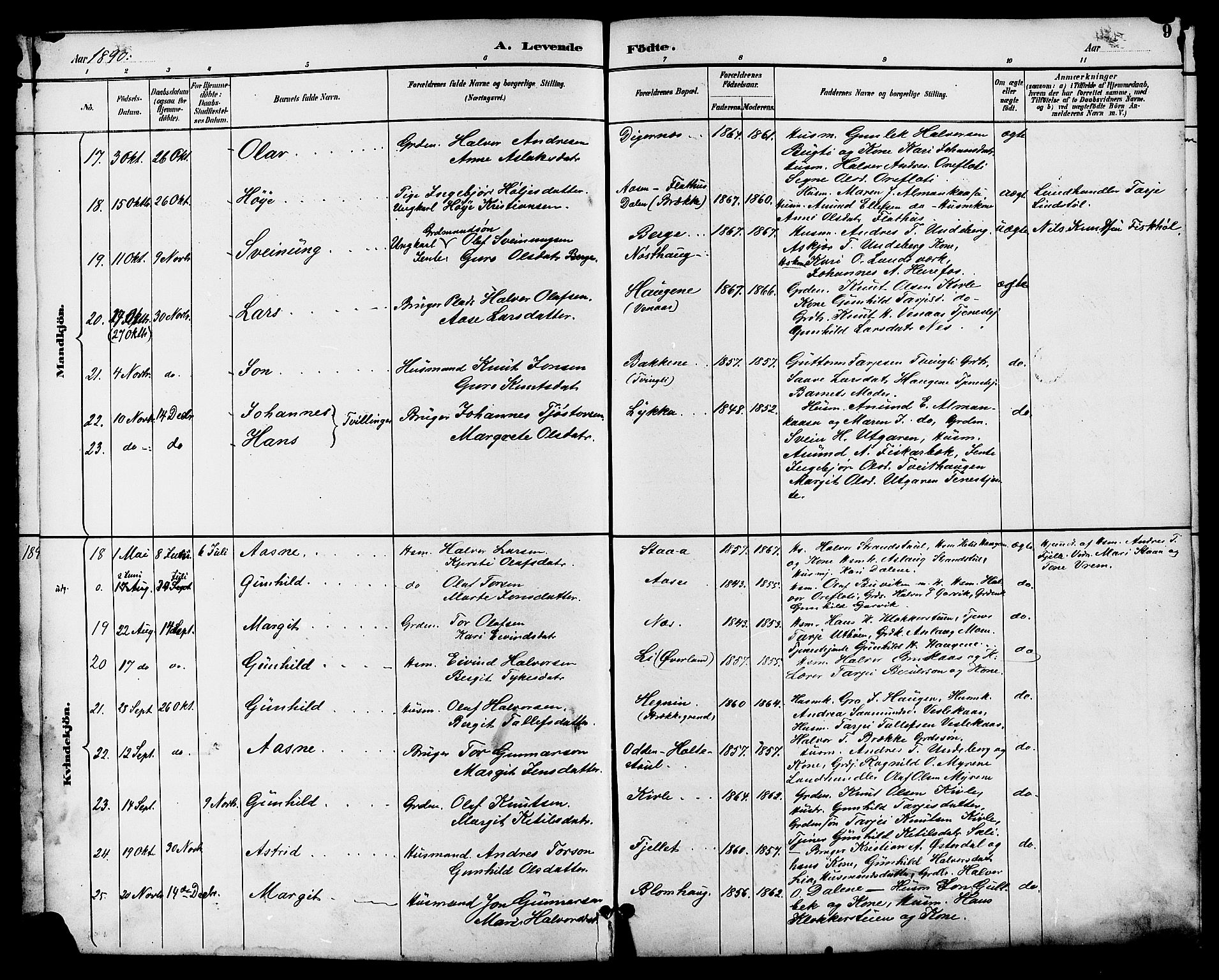 Seljord kirkebøker, SAKO/A-20/G/Ga/L0005: Parish register (copy) no. I 5, 1887-1914, p. 9