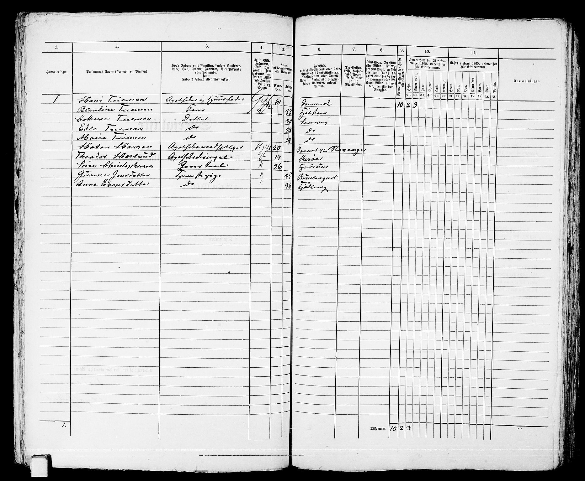 RA, 1865 census for Larvik, 1865, p. 214