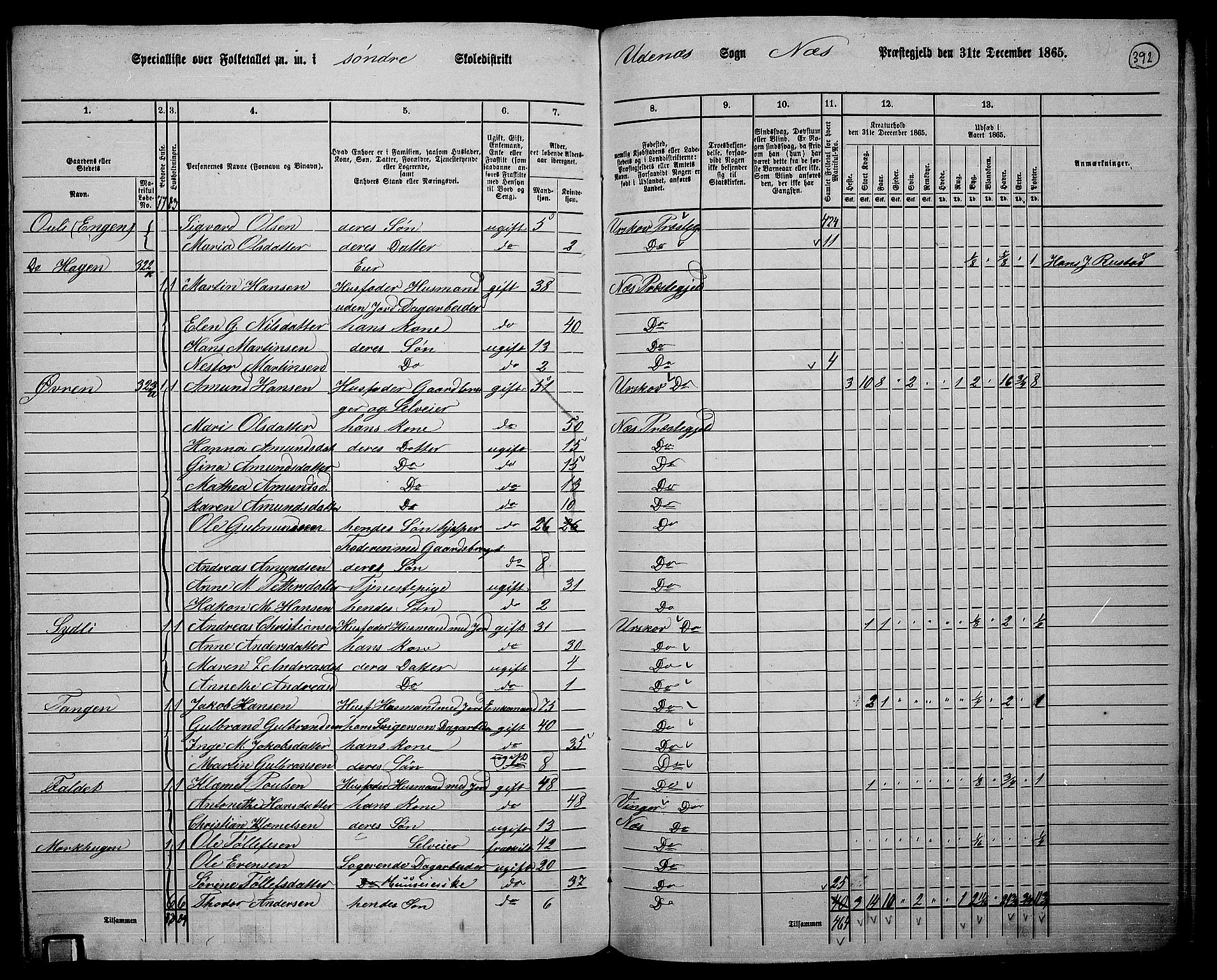 RA, 1865 census for Nes, 1865, p. 358