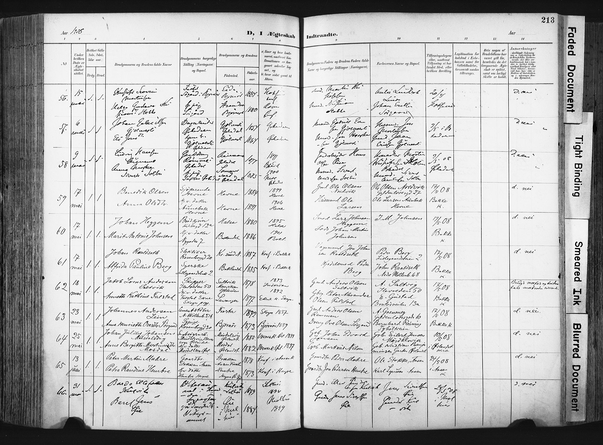 Ministerialprotokoller, klokkerbøker og fødselsregistre - Sør-Trøndelag, SAT/A-1456/604/L0201: Parish register (official) no. 604A21, 1901-1911, p. 213