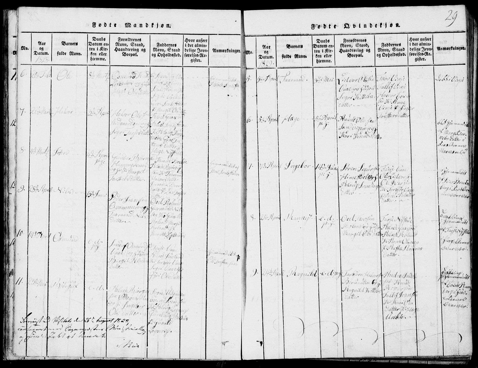 Rauland kirkebøker, SAKO/A-292/G/Ga/L0001: Parish register (copy) no. I 1, 1814-1843, p. 29
