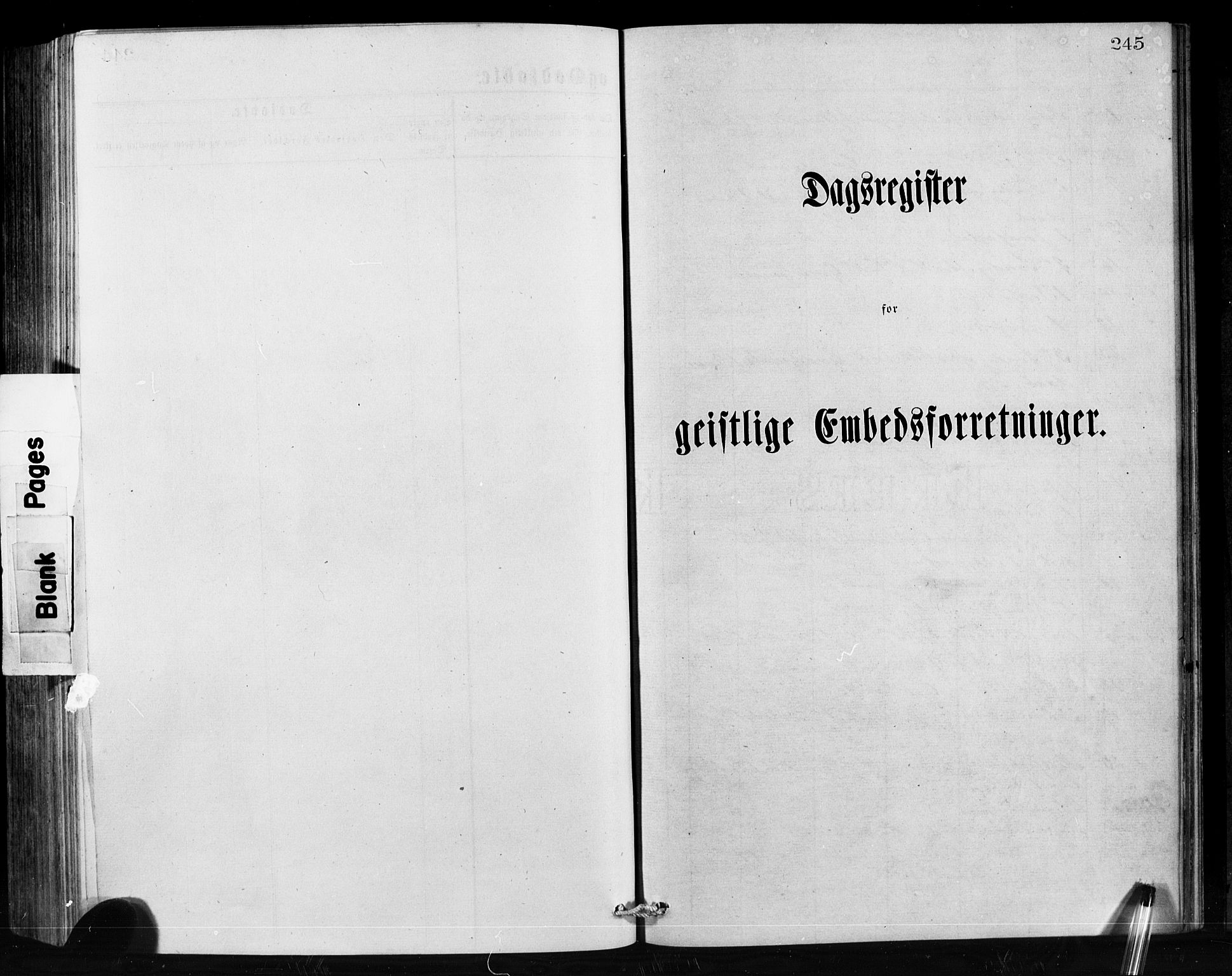 Hornindal sokneprestembete, SAB/A-82401/H/Hab: Parish register (copy) no. A 1, 1876-1894, p. 245