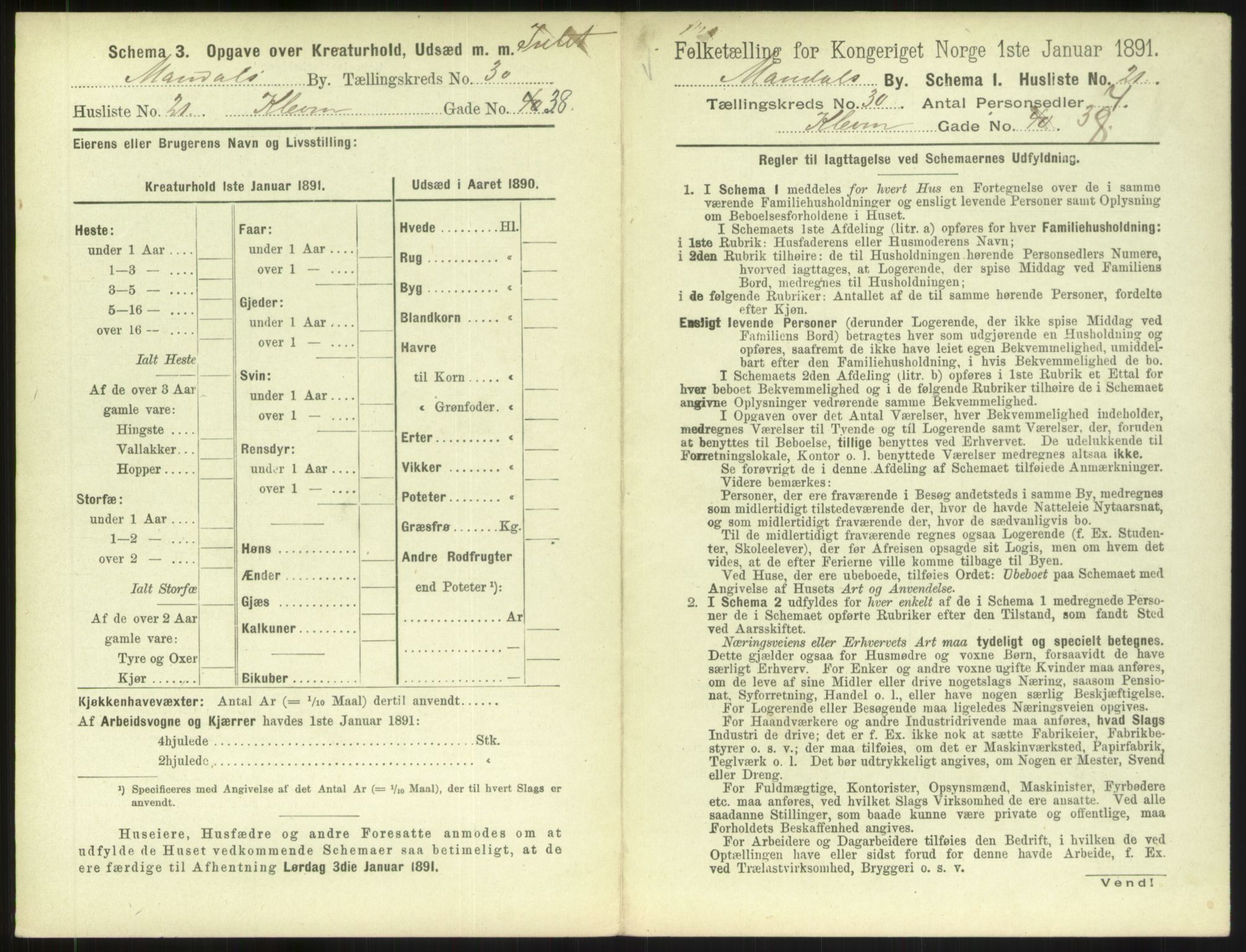 RA, 1891 census for 1002 Mandal, 1891, p. 1387