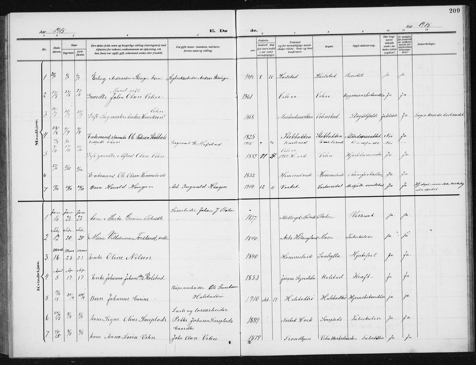 Ministerialprotokoller, klokkerbøker og fødselsregistre - Sør-Trøndelag, SAT/A-1456/617/L0431: Parish register (copy) no. 617C02, 1910-1936, p. 209