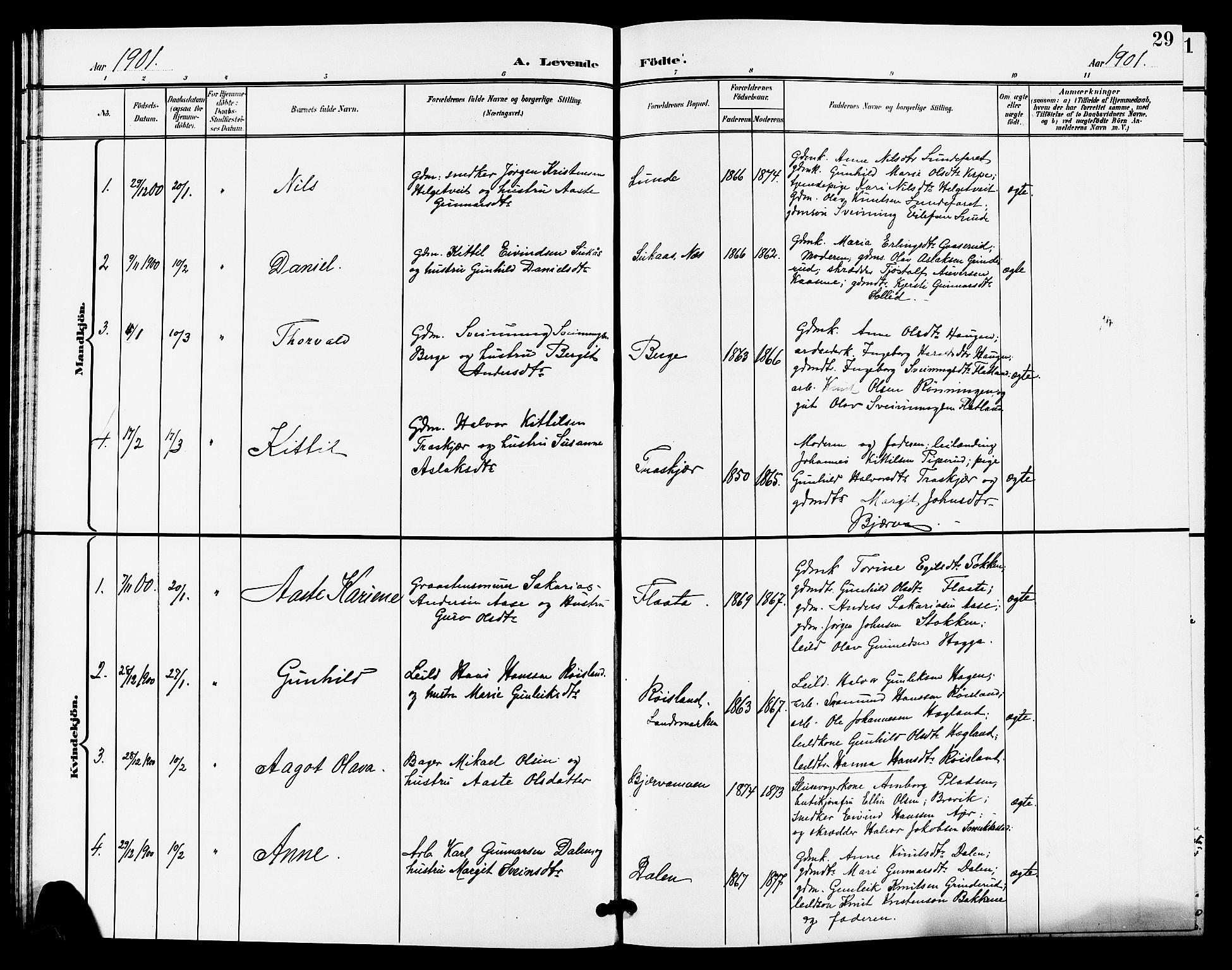 Lunde kirkebøker, SAKO/A-282/G/Ga/L0003: Parish register (copy) no. I 3, 1896-1905, p. 29