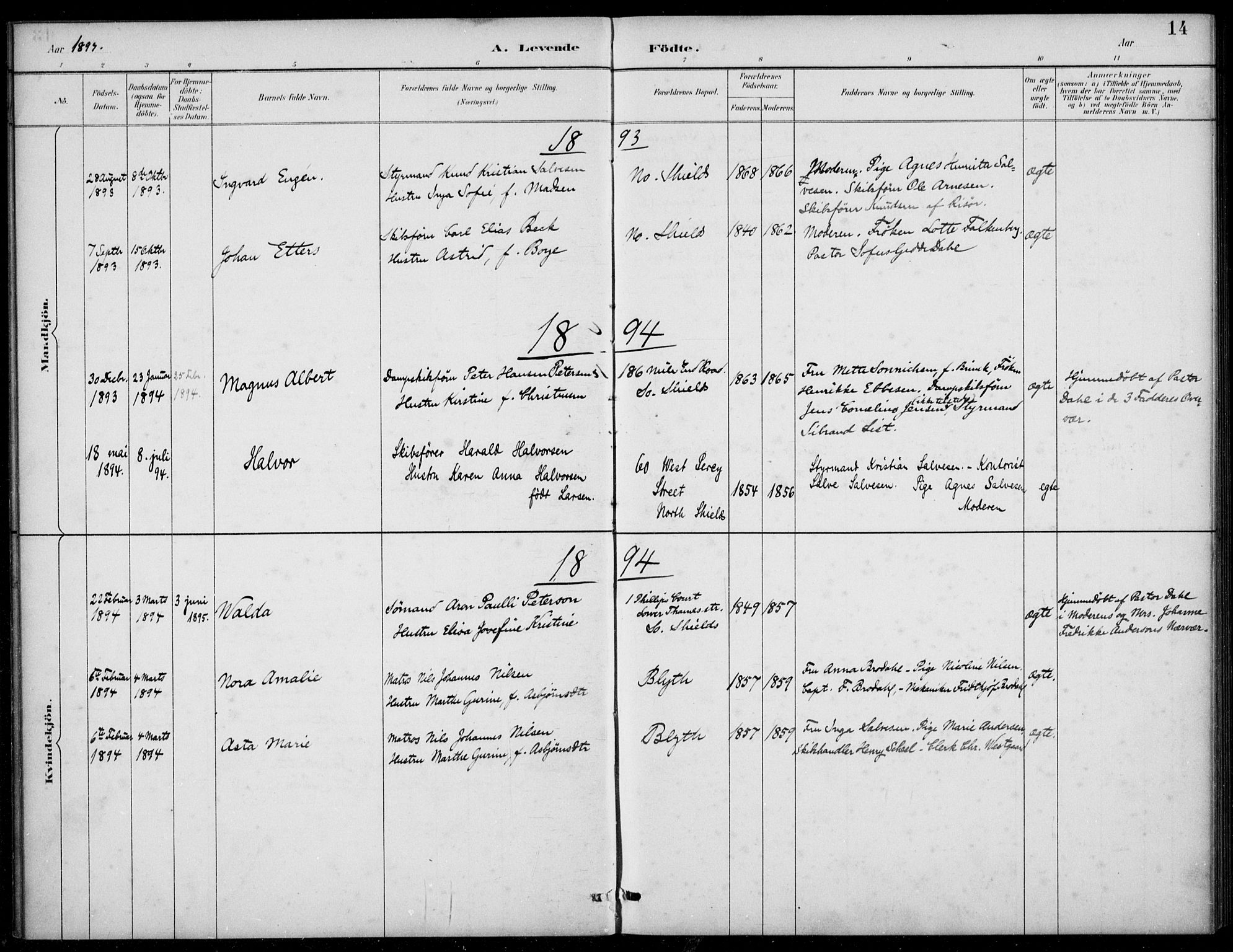 Den norske sjømannsmisjon i utlandet/Tyne-havnene (North Shields og New Castle), SAB/SAB/PA-0101/H/Ha/L0002: Parish register (official) no. A 2, 1883-1938, p. 14