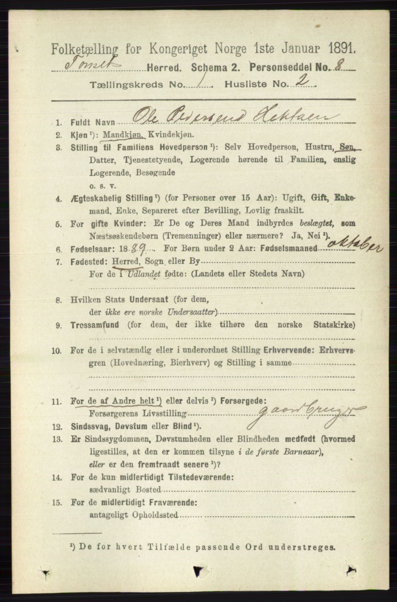 RA, 1891 census for 0437 Tynset, 1891, p. 90
