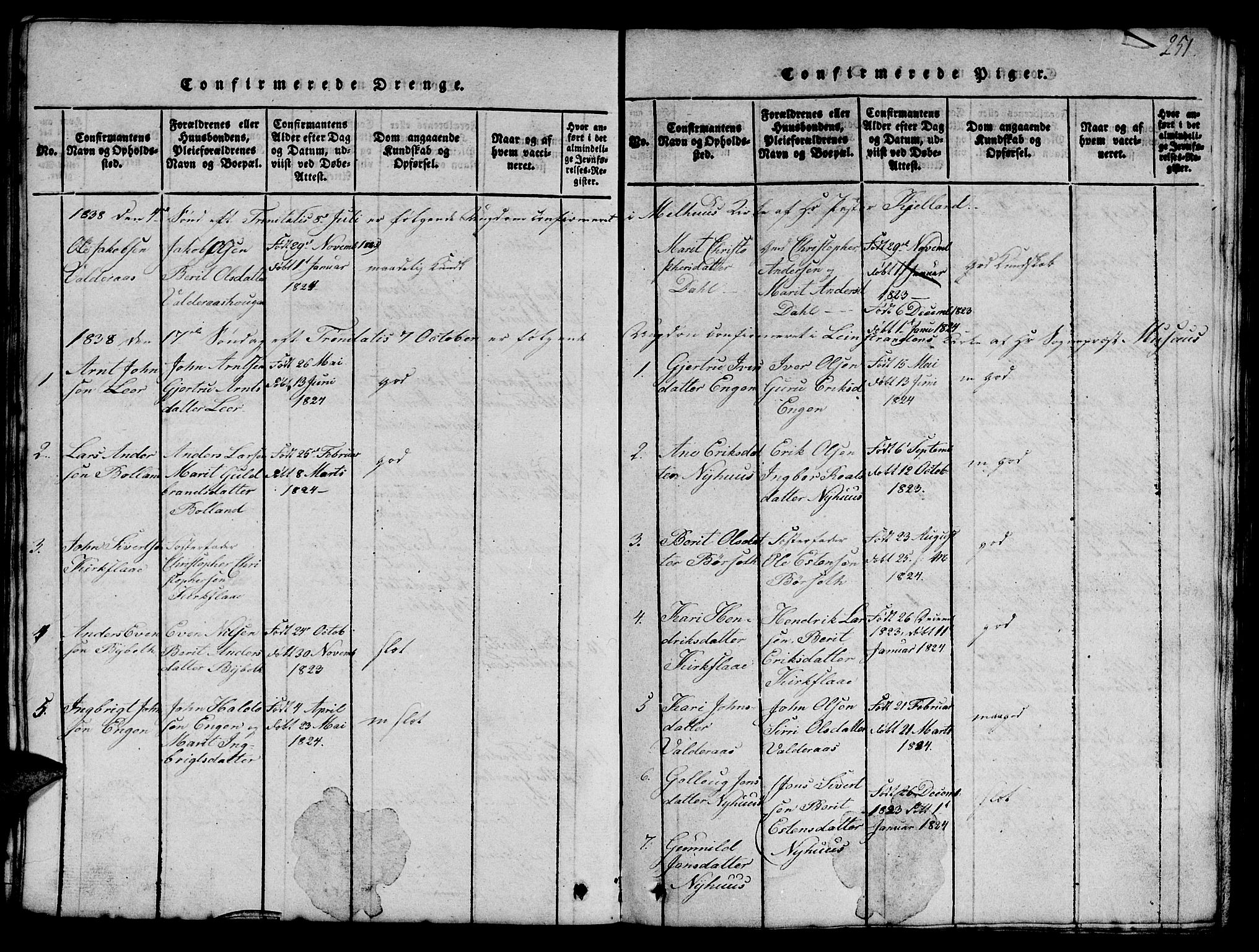 Ministerialprotokoller, klokkerbøker og fødselsregistre - Sør-Trøndelag, SAT/A-1456/693/L1121: Parish register (copy) no. 693C02, 1816-1869, p. 251