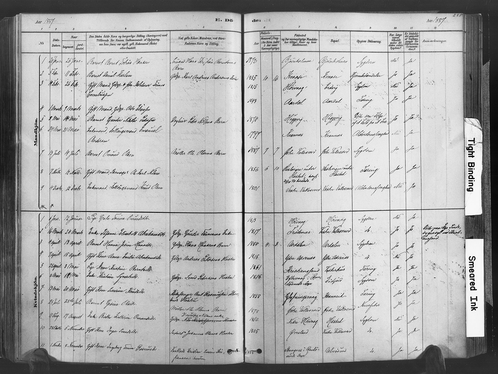 Høvåg sokneprestkontor, SAK/1111-0025/F/Fa/L0005: Parish register (official) no. A 5, 1878-1893, p. 285
