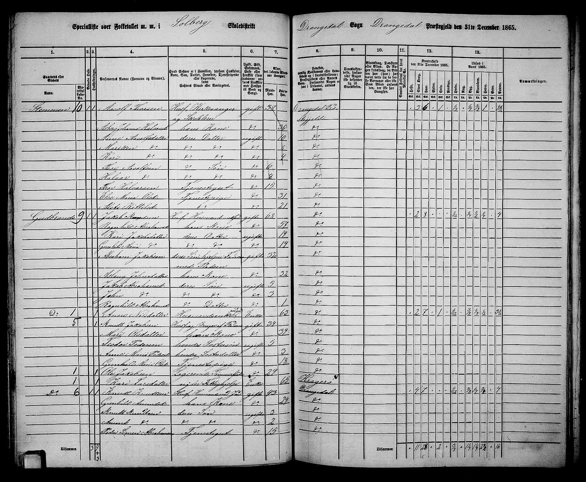RA, 1865 census for Drangedal, 1865, p. 63