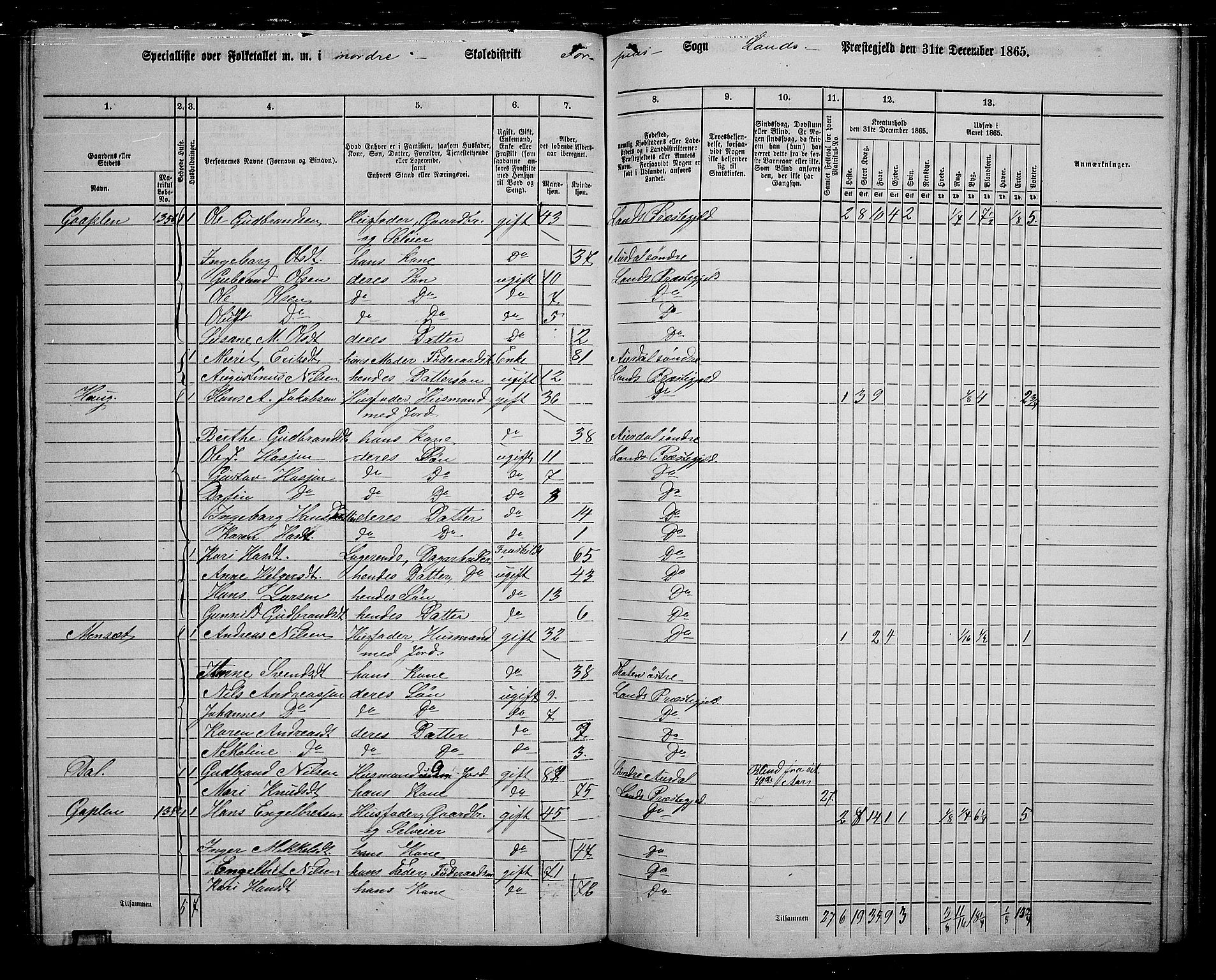 RA, 1865 census for Land, 1865, p. 141