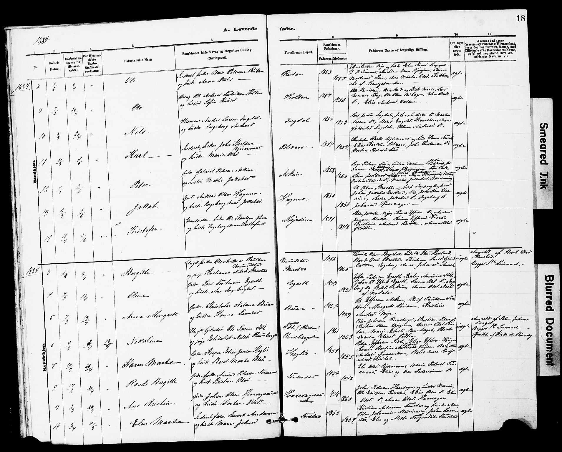 Ministerialprotokoller, klokkerbøker og fødselsregistre - Sør-Trøndelag, AV/SAT-A-1456/646/L0628: Parish register (copy) no. 646C01, 1880-1903, p. 18