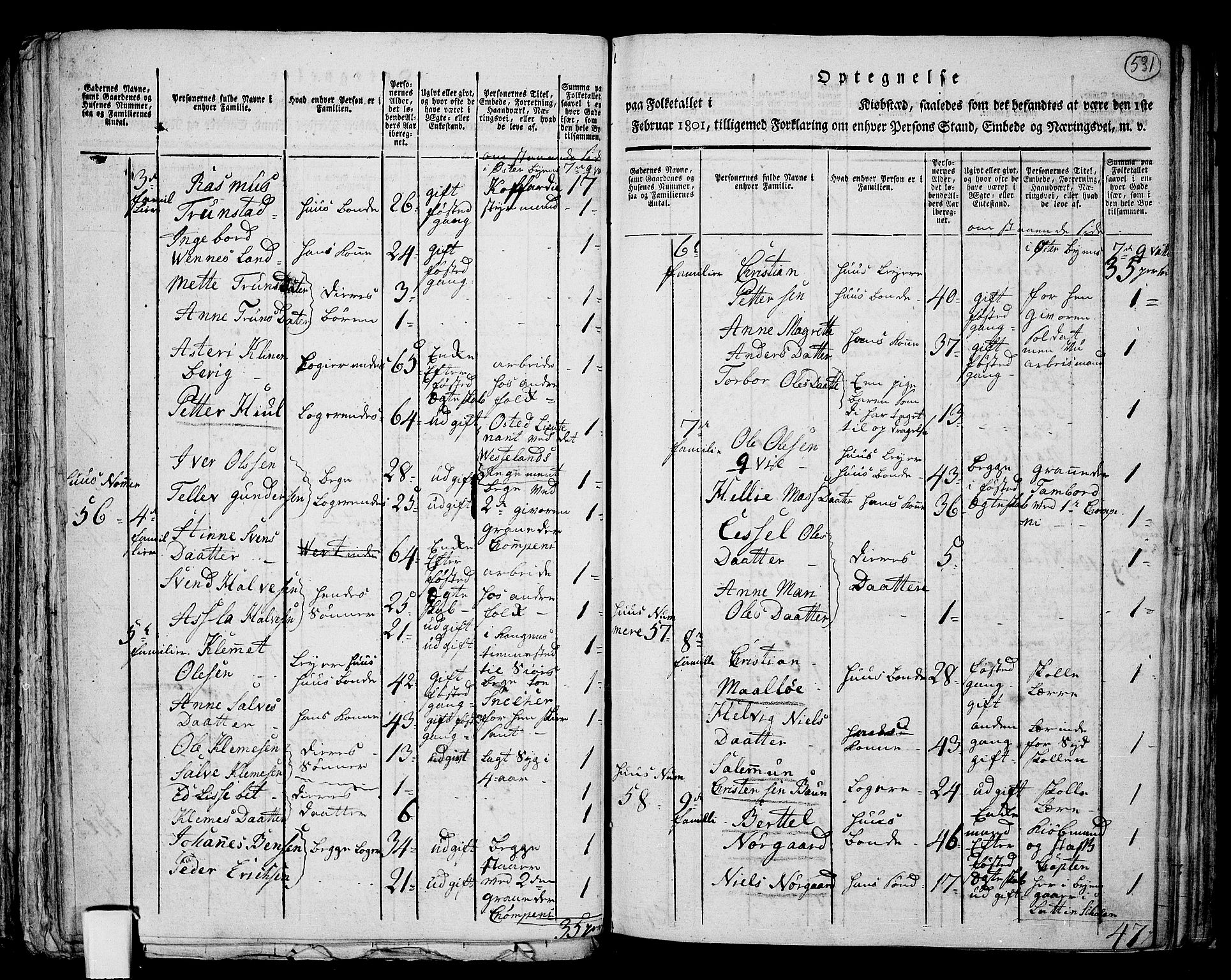 RA, 1801 census for 1001P Kristiansand, 1801, p. 530b-531a