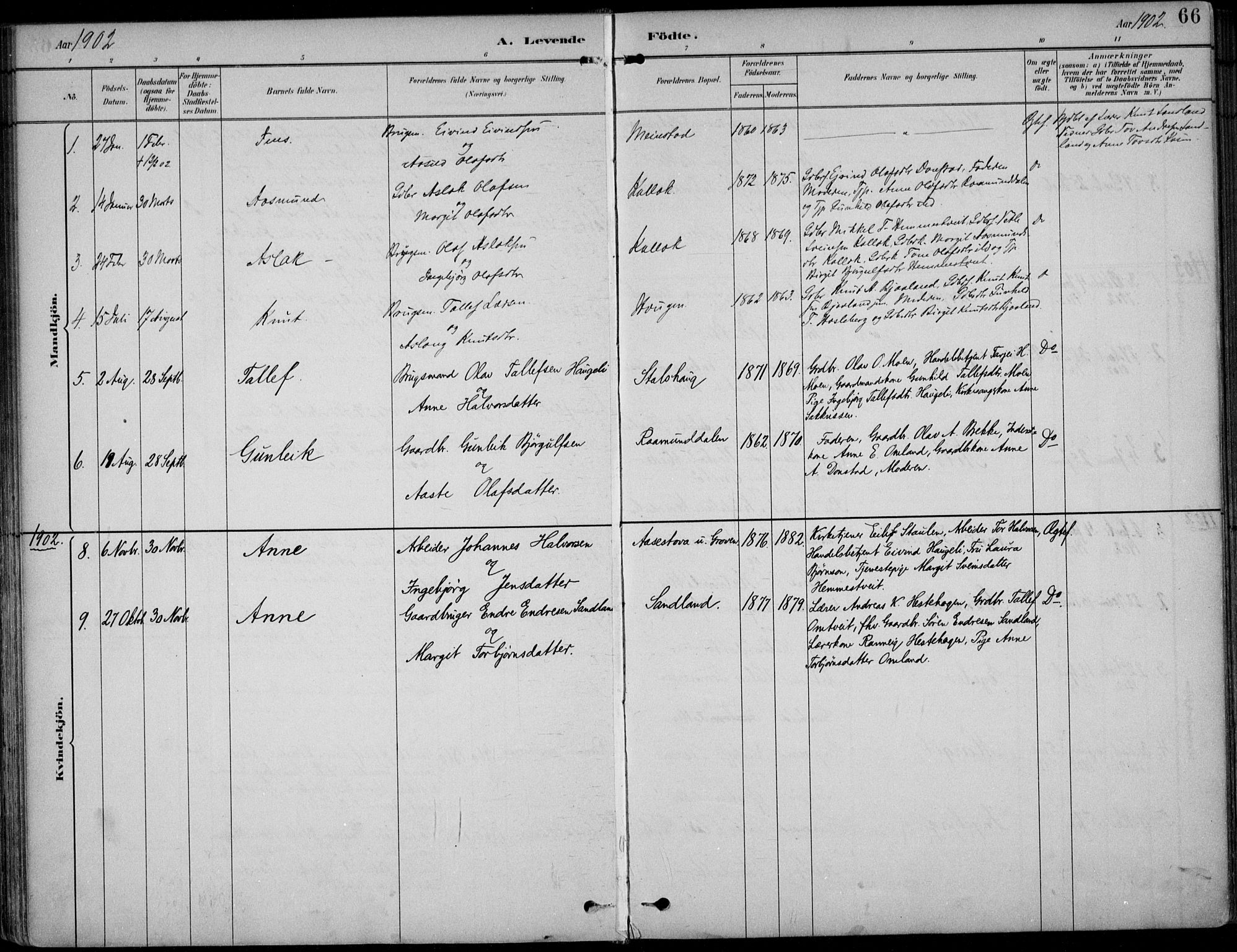Kviteseid kirkebøker, SAKO/A-276/F/Fb/L0002: Parish register (official) no. II 2, 1882-1916, p. 66