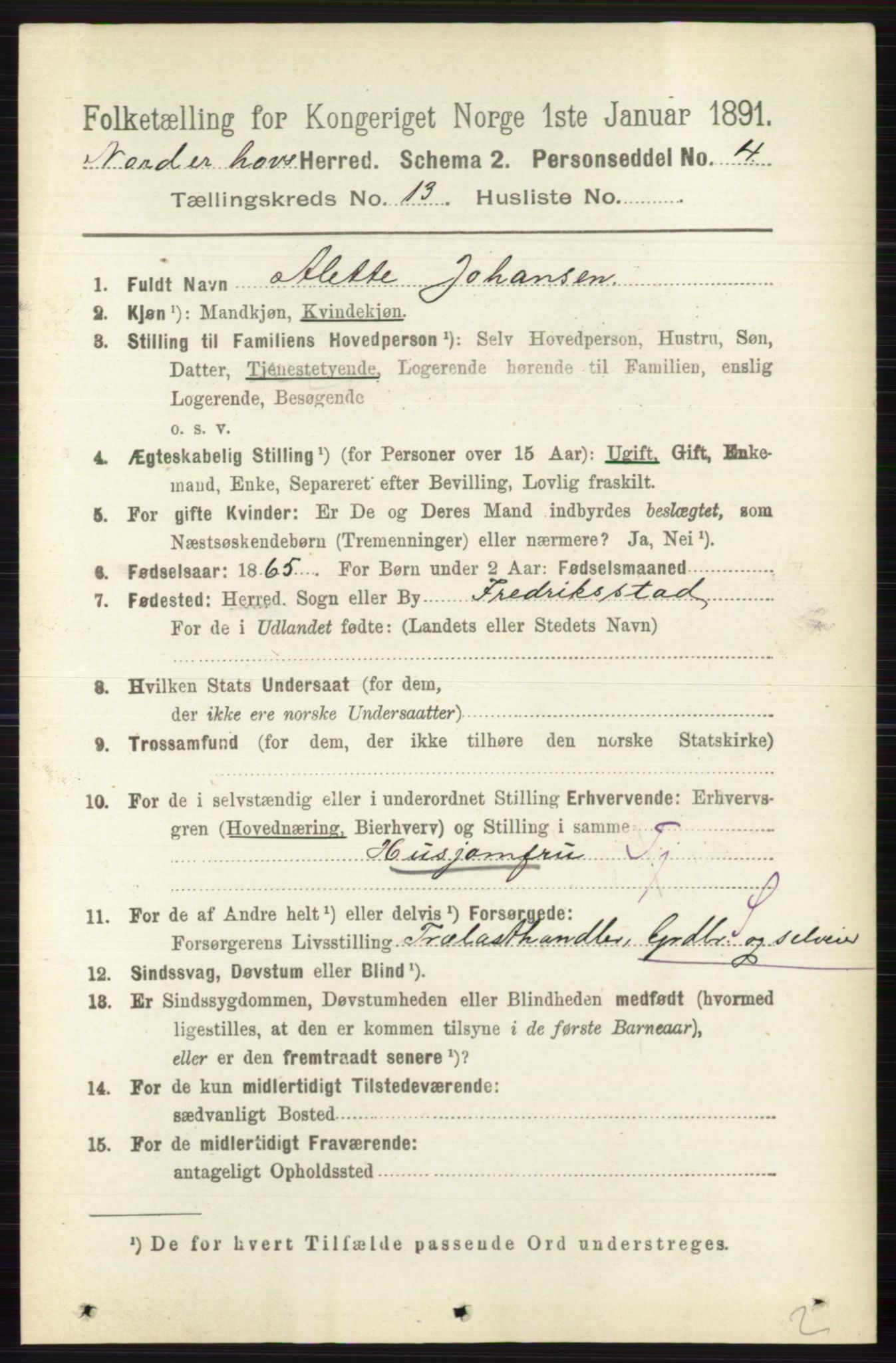 RA, 1891 census for 0613 Norderhov, 1891, p. 8883