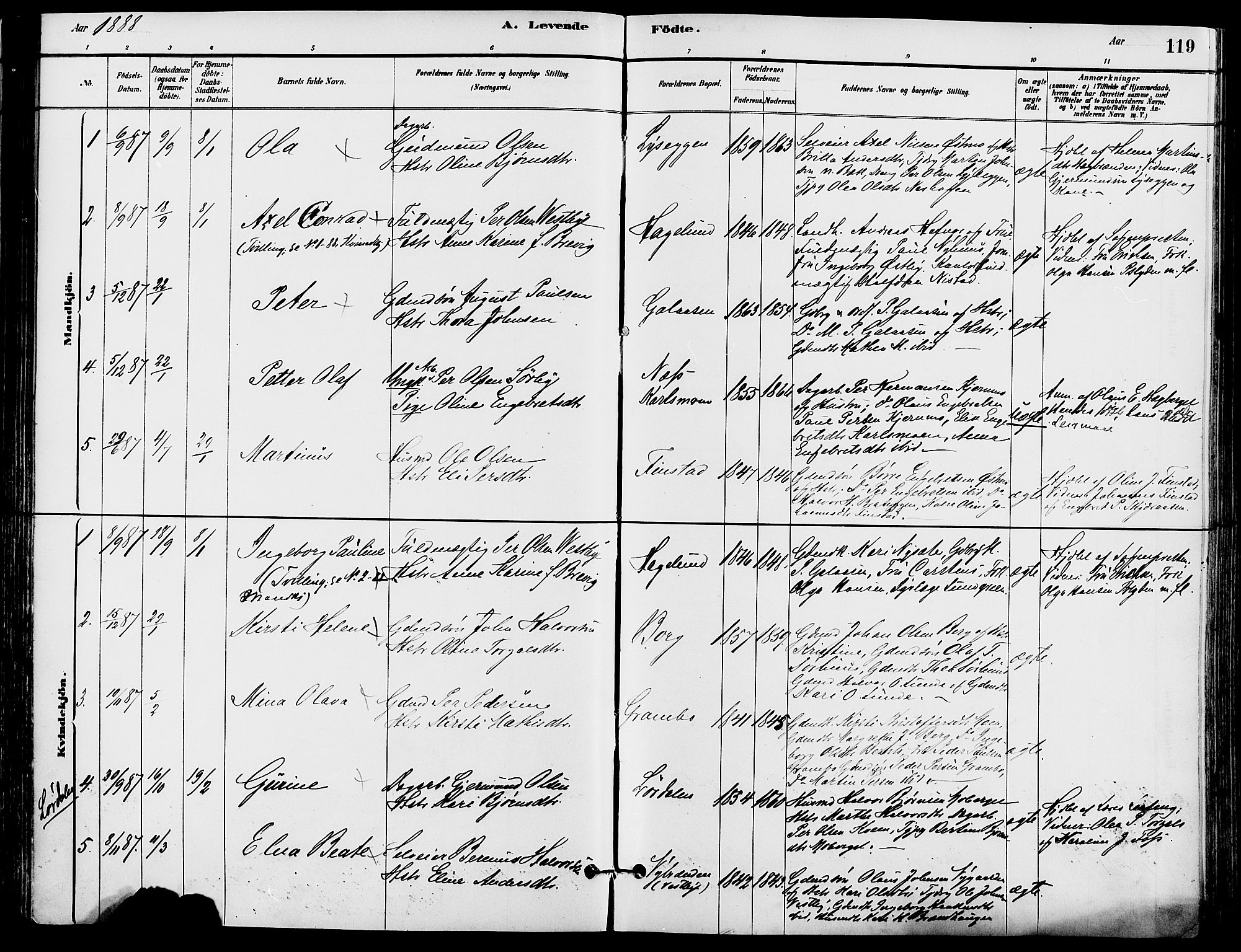 Trysil prestekontor, SAH/PREST-046/H/Ha/Haa/L0008: Parish register (official) no. 8, 1881-1897, p. 119