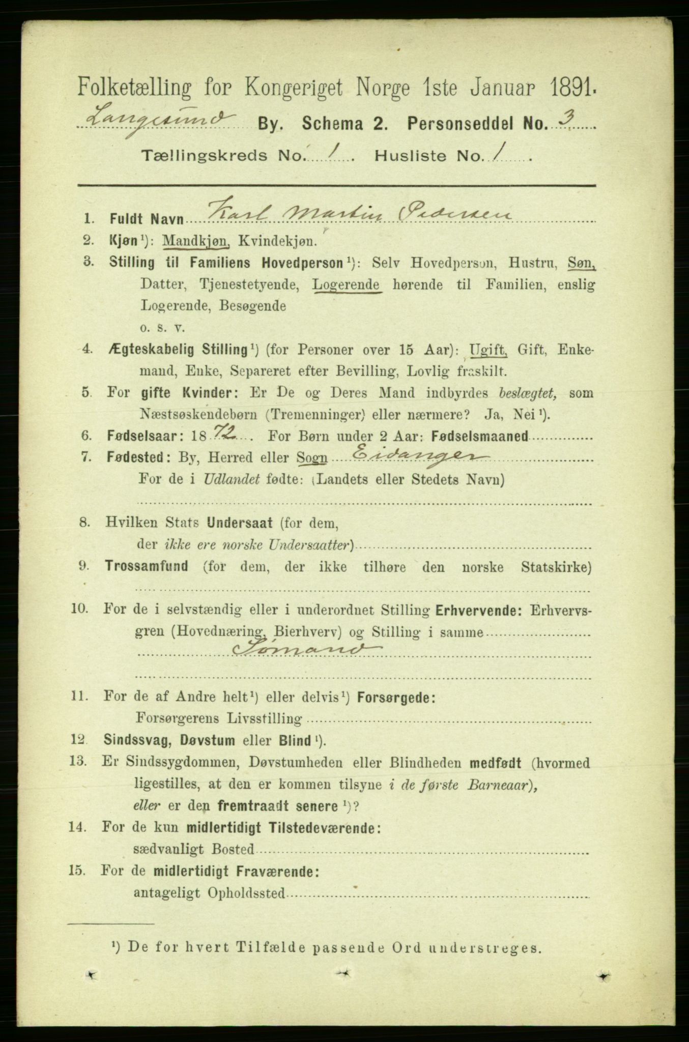 RA, 1891 census for 0802 Langesund, 1891, p. 505