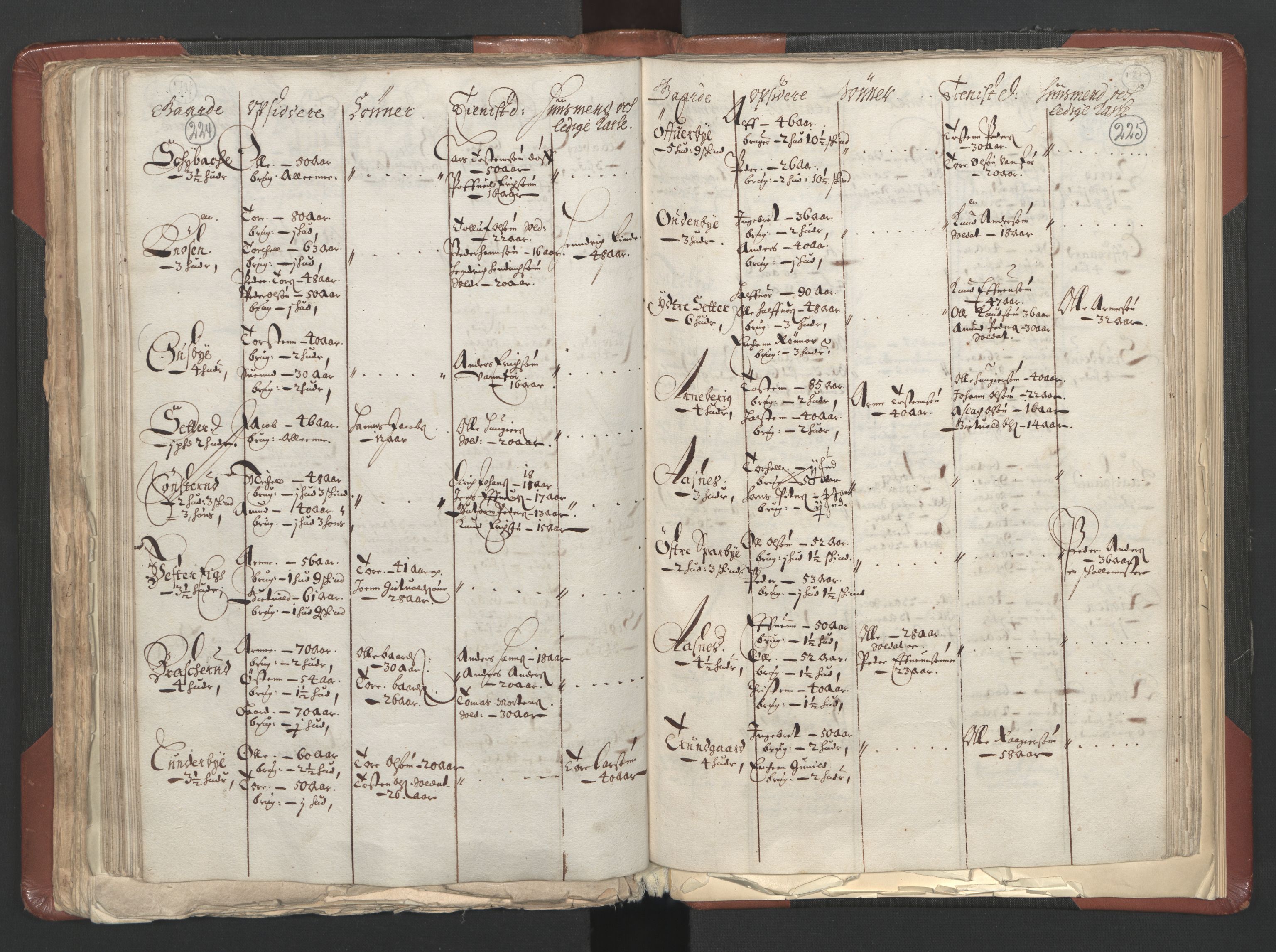 RA, Bailiff's Census 1664-1666, no. 3: Hedmark fogderi and Solør, Østerdal and Odal fogderi, 1664, p. 224-225