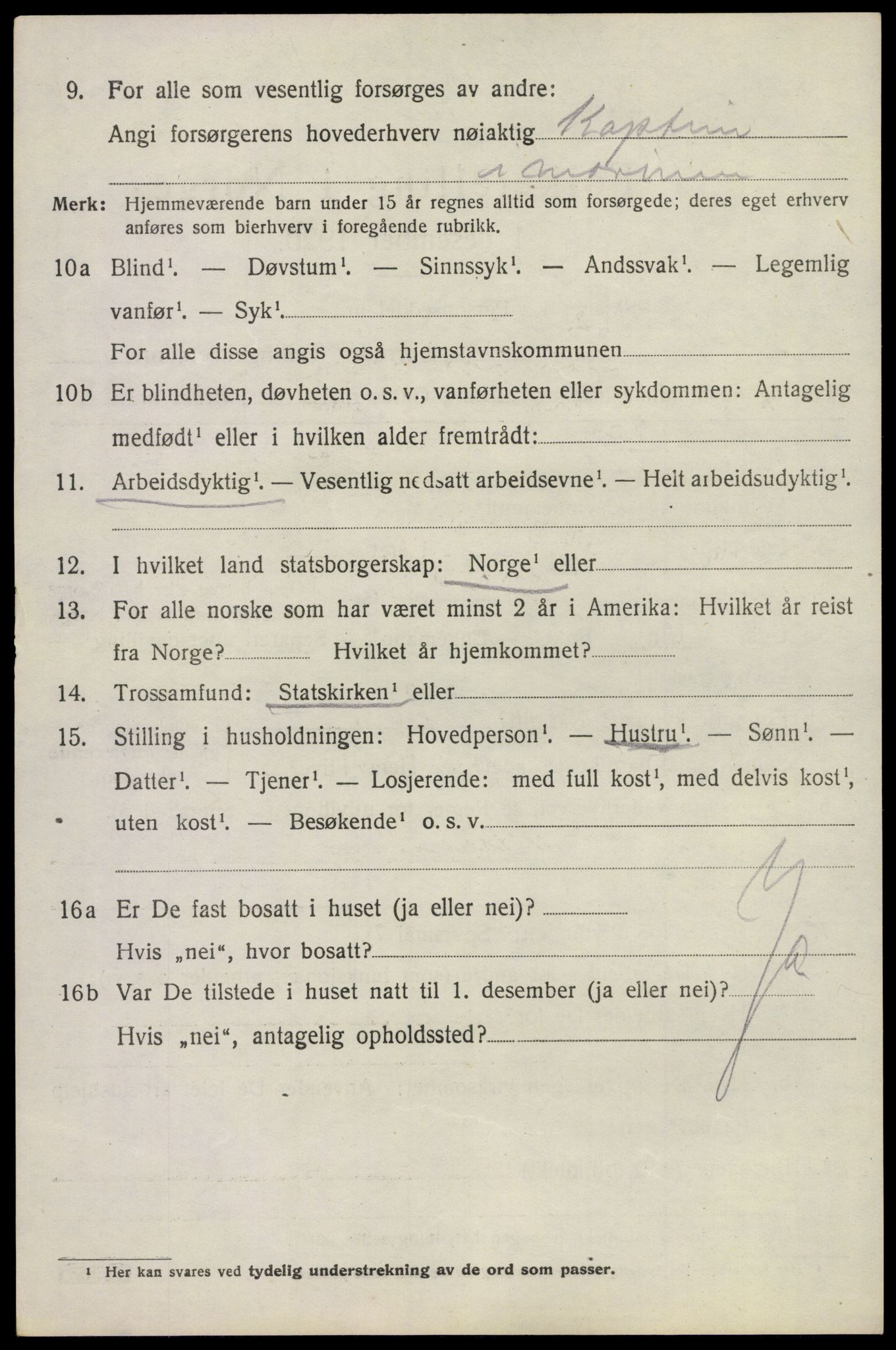 SAKO, 1920 census for Borre, 1920, p. 4933