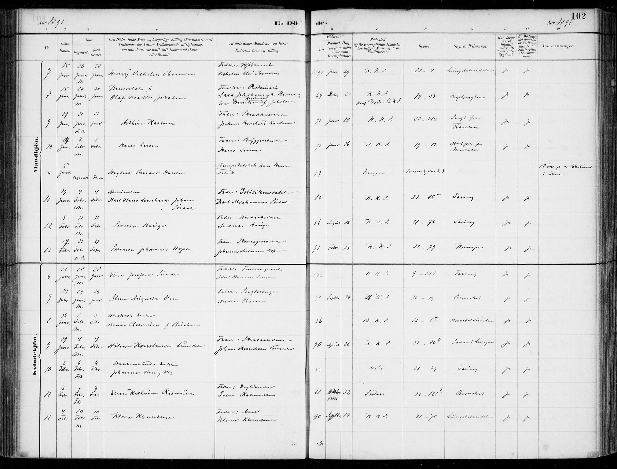 Korskirken sokneprestembete, AV/SAB-A-76101/H/Hab: Parish register (copy) no. E 4, 1884-1910, p. 102