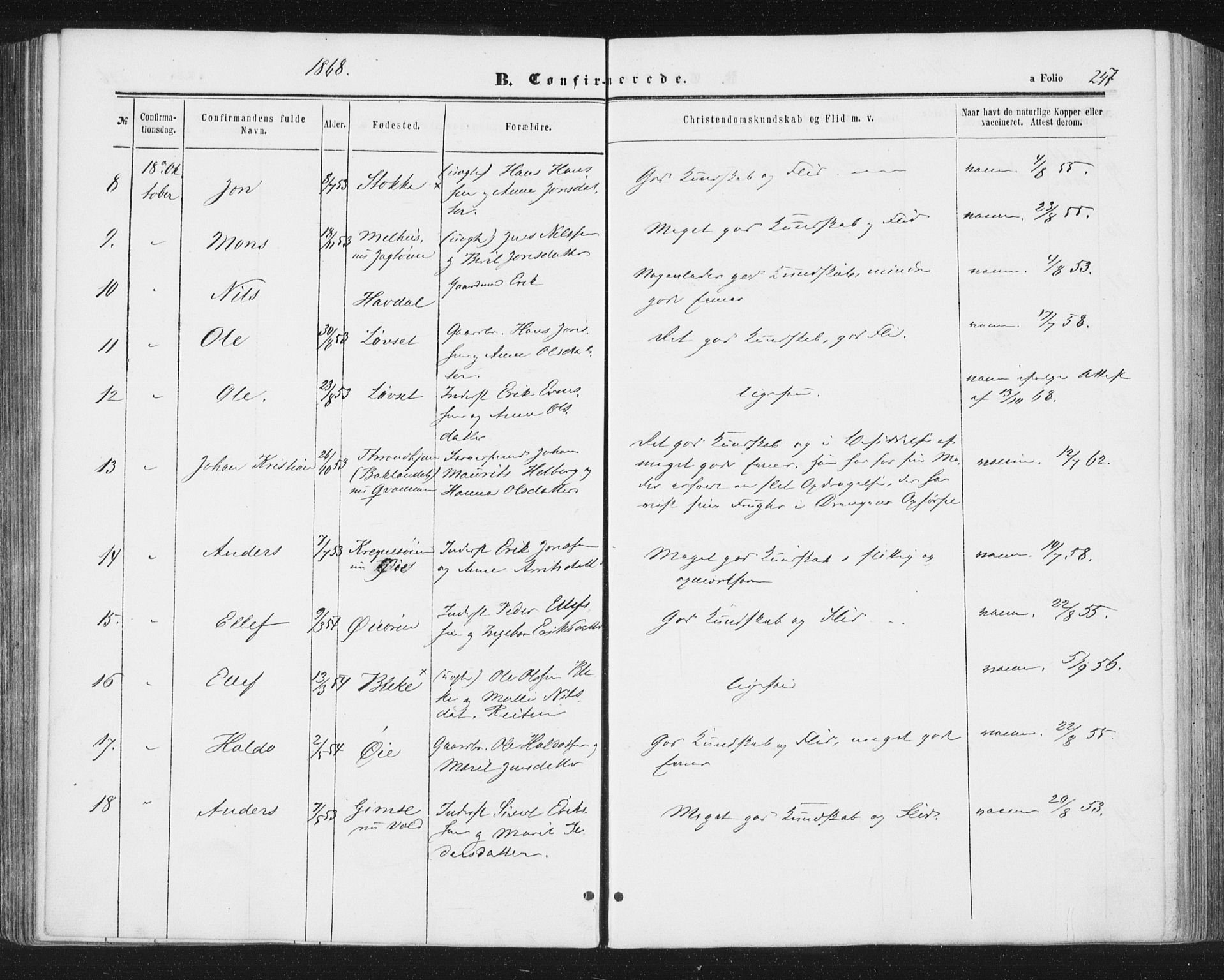 Ministerialprotokoller, klokkerbøker og fødselsregistre - Sør-Trøndelag, AV/SAT-A-1456/691/L1077: Parish register (official) no. 691A09, 1862-1873, p. 247