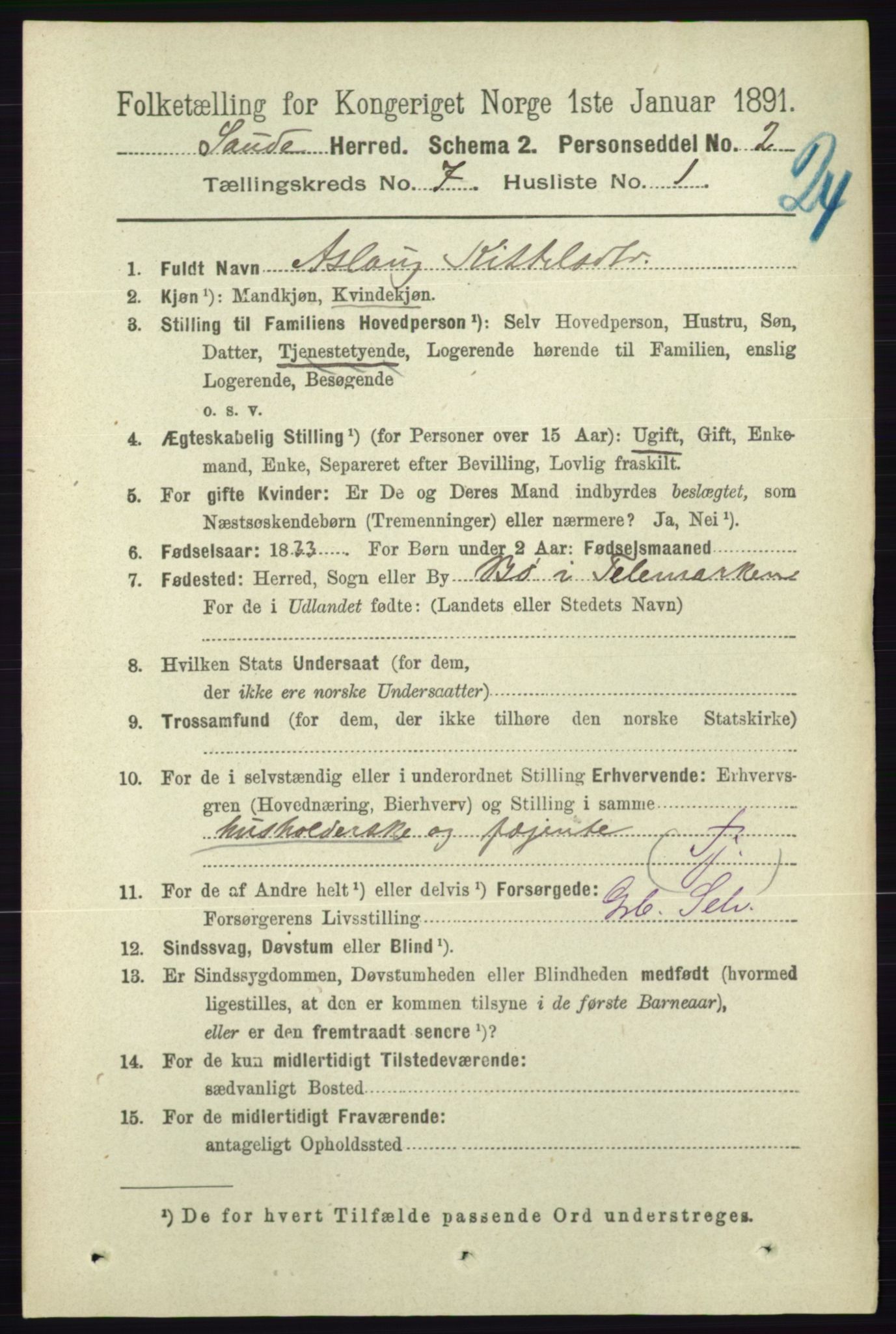 RA, 1891 census for 0822 Sauherad, 1891, p. 2031