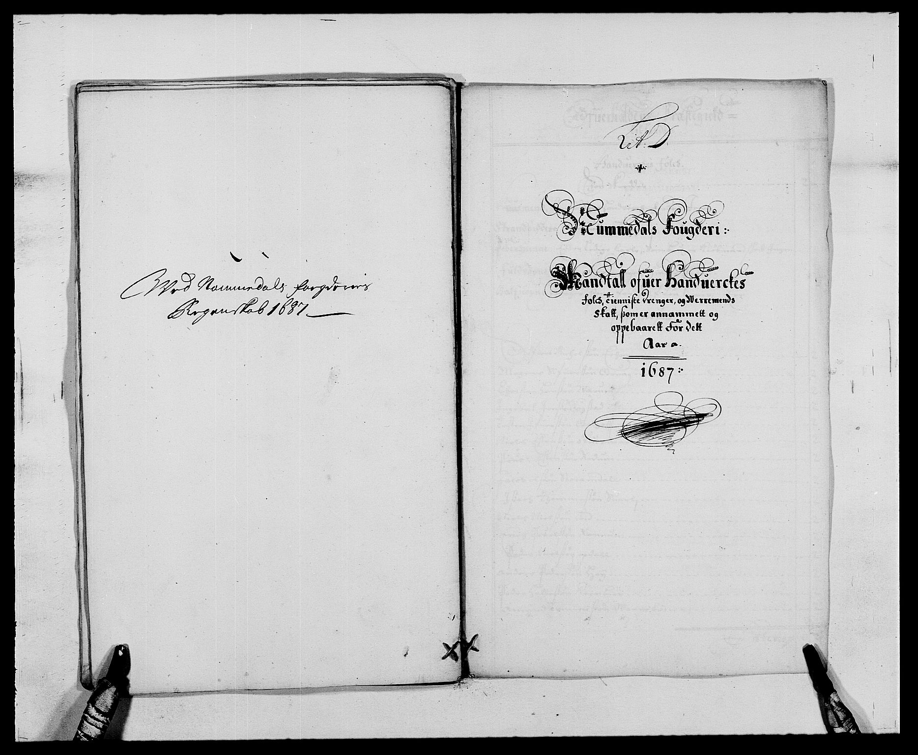 Rentekammeret inntil 1814, Reviderte regnskaper, Fogderegnskap, AV/RA-EA-4092/R64/L4422: Fogderegnskap Namdal, 1687-1689, p. 17