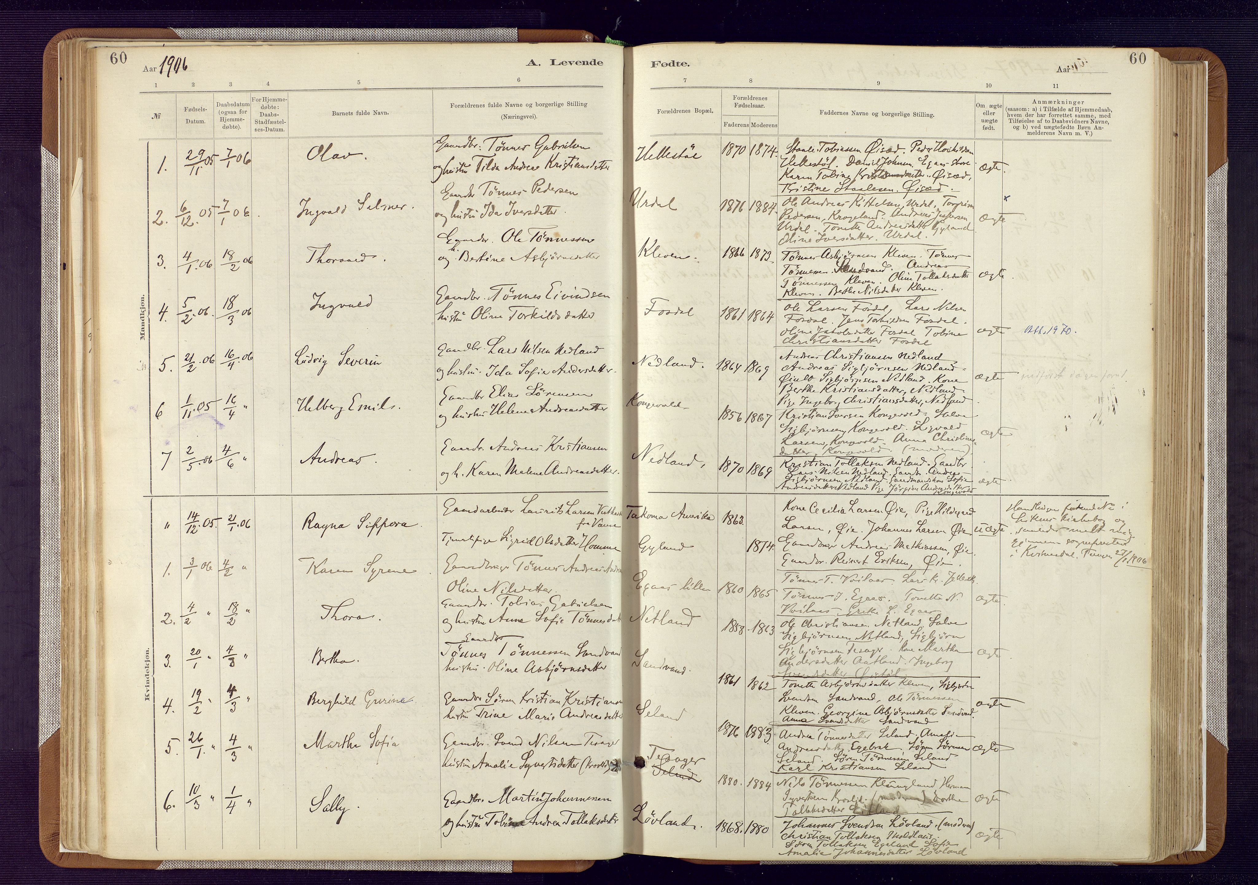 Bakke sokneprestkontor, SAK/1111-0002/F/Fa/Fab/L0003: Parish register (official) no. A 3, 1884-1921, p. 60